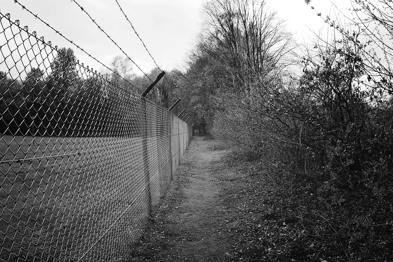 fence barbed wire metal free photo