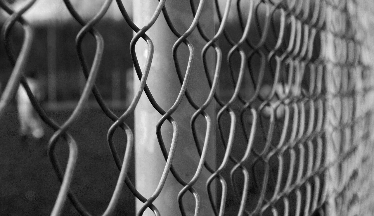 fence black and white trap free photo