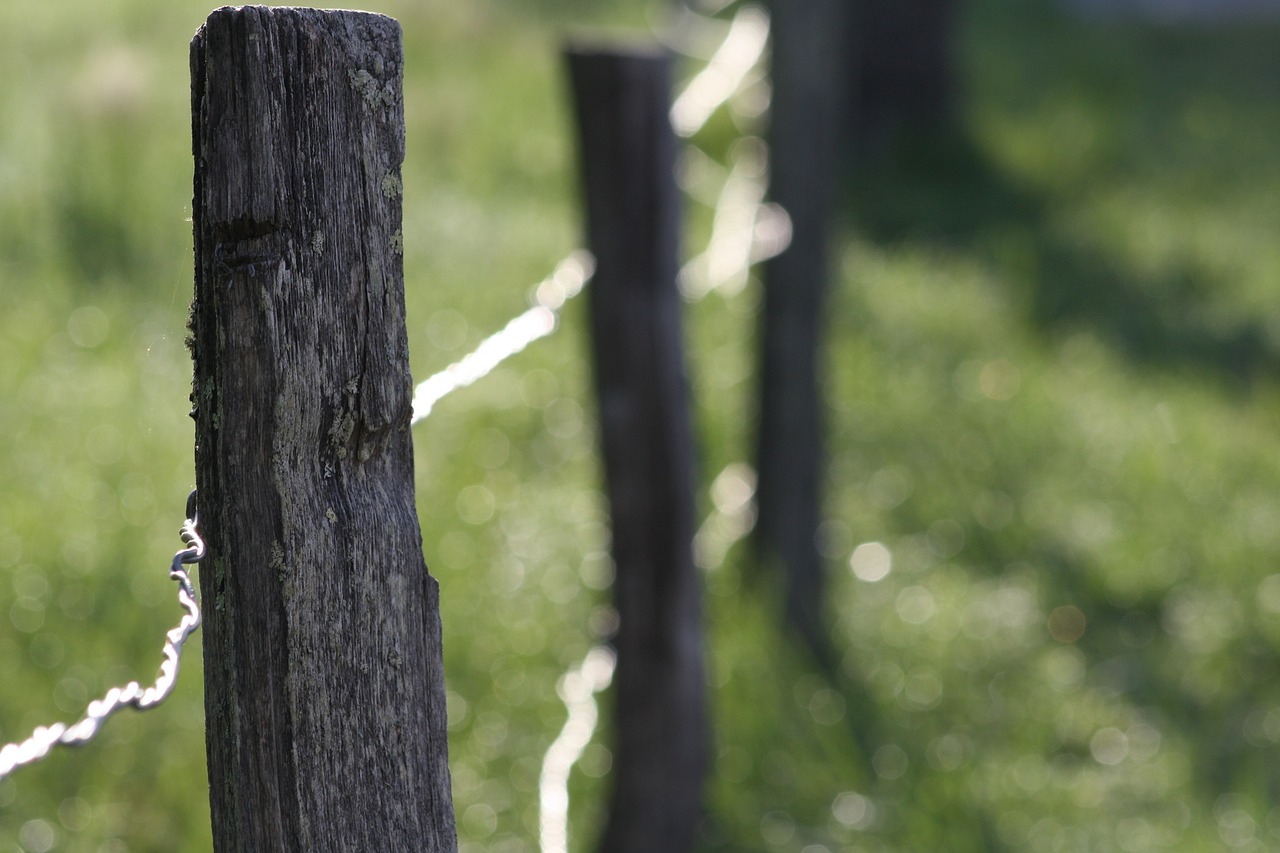 fence fence posts country free photo