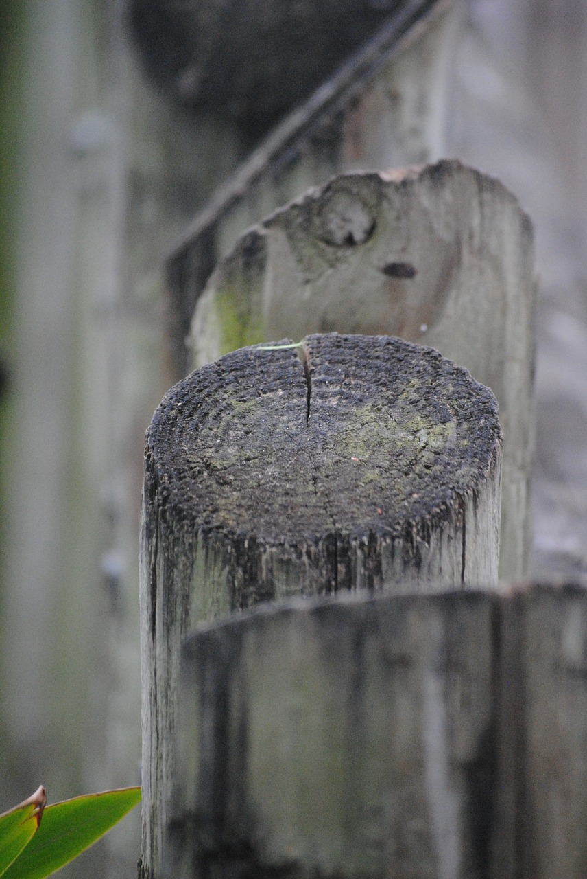 fence logs wood free photo