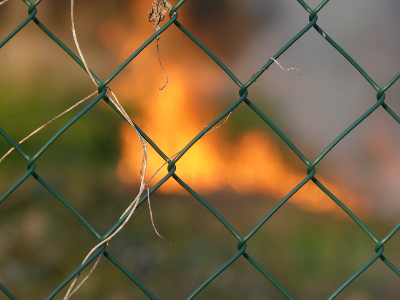 fence wire mesh fence wire free photo