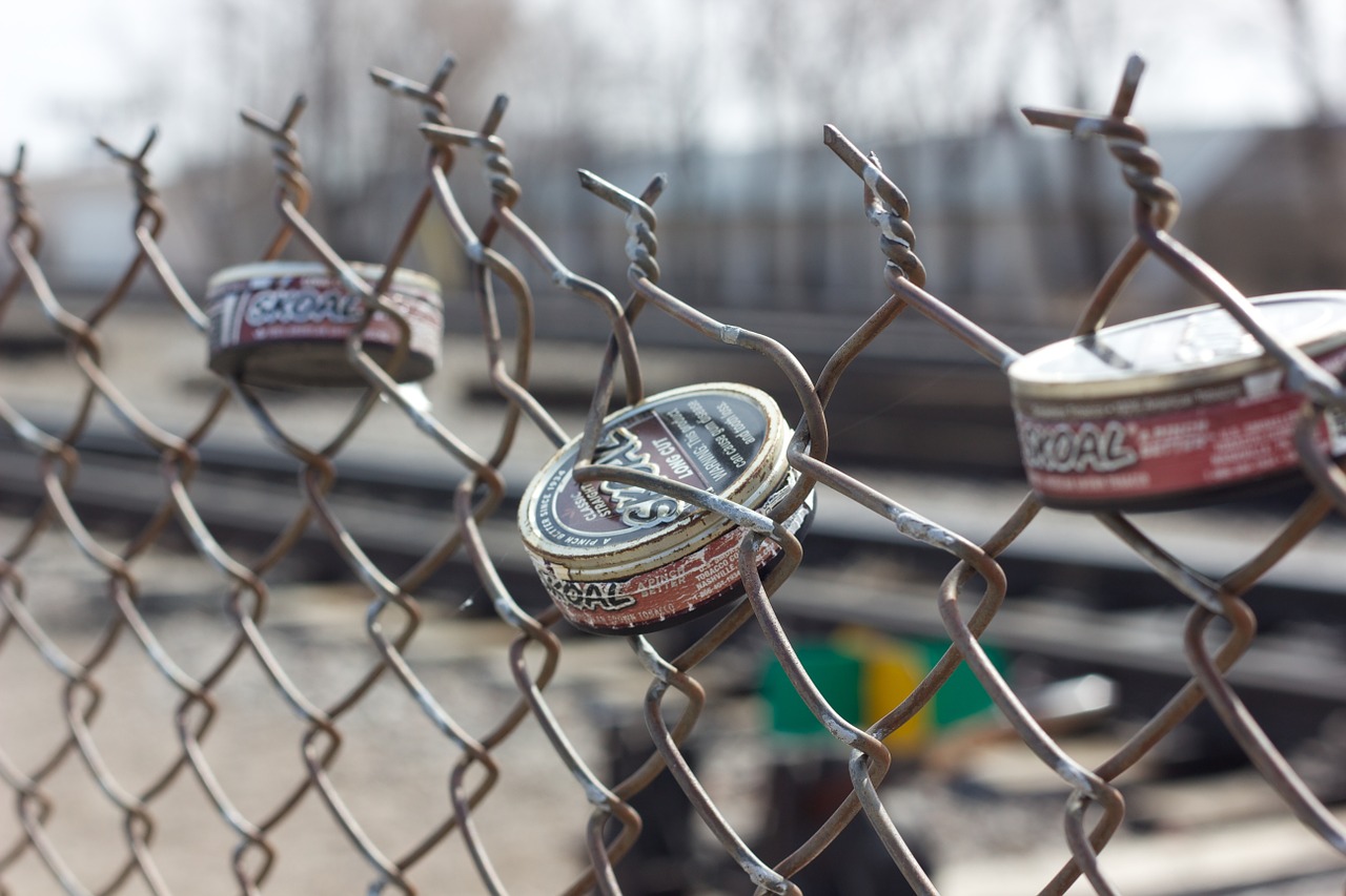 fence art tobacco free photo