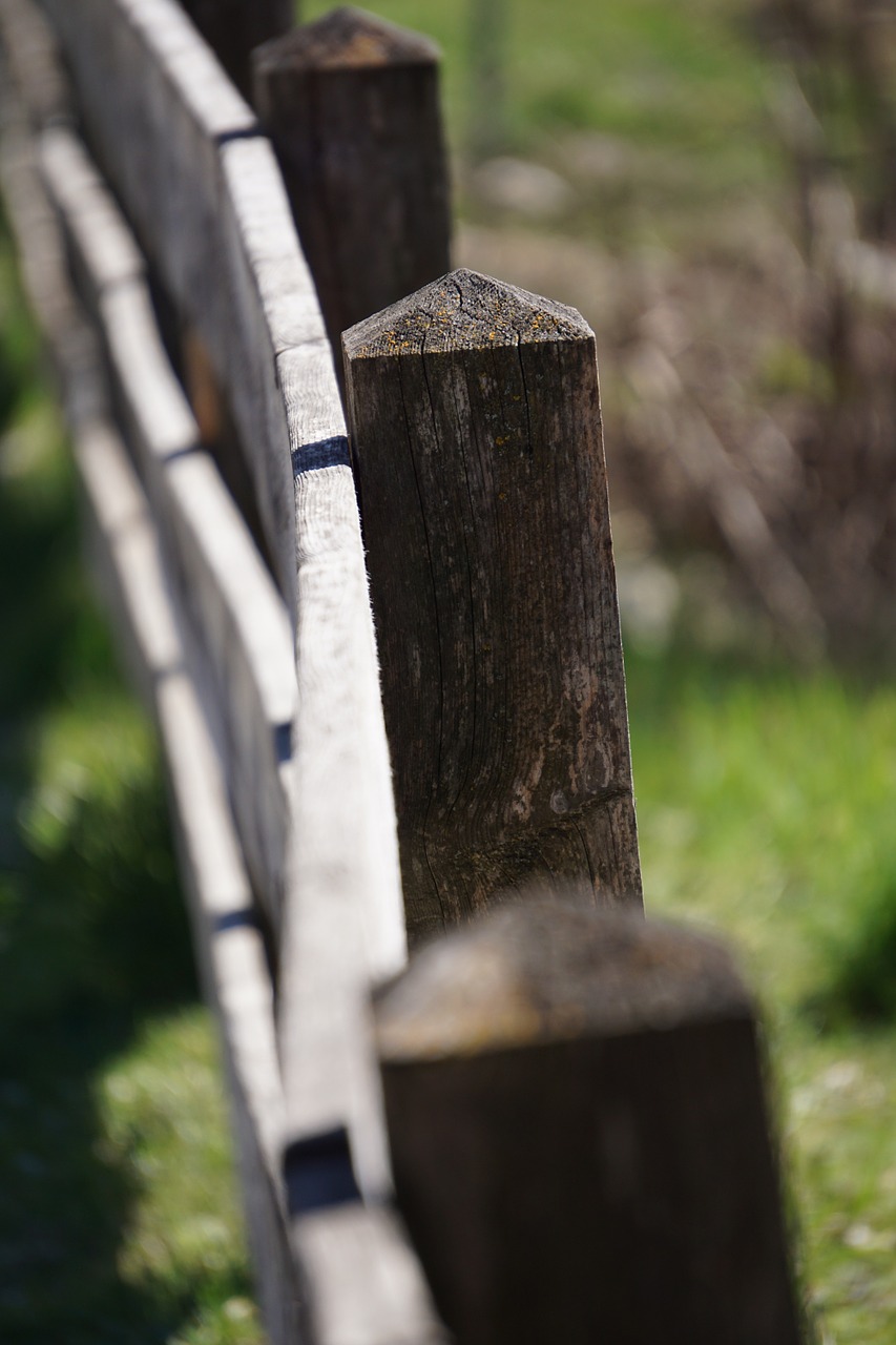 fence pillar wood free photo