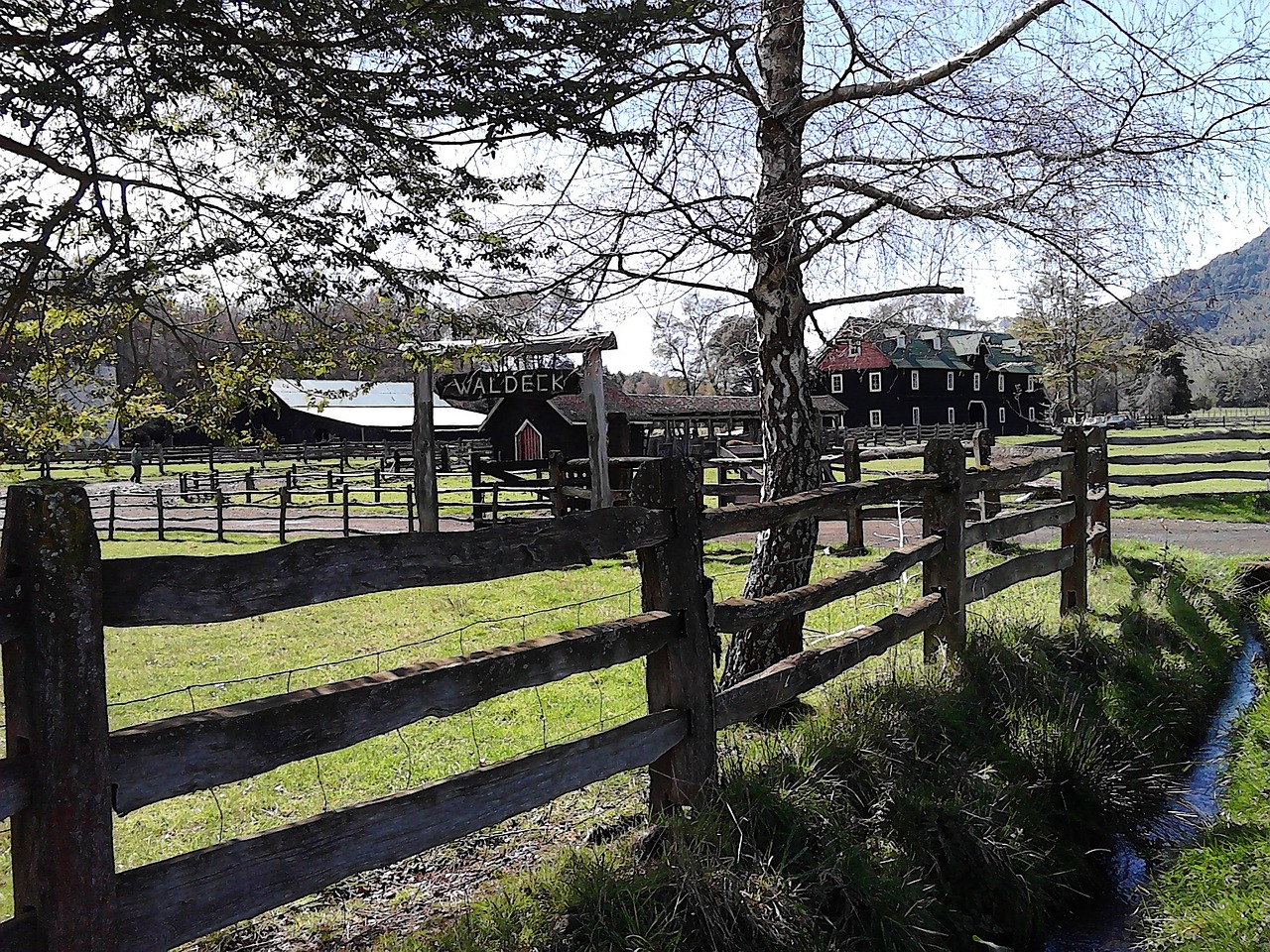 fence field waldeck free photo