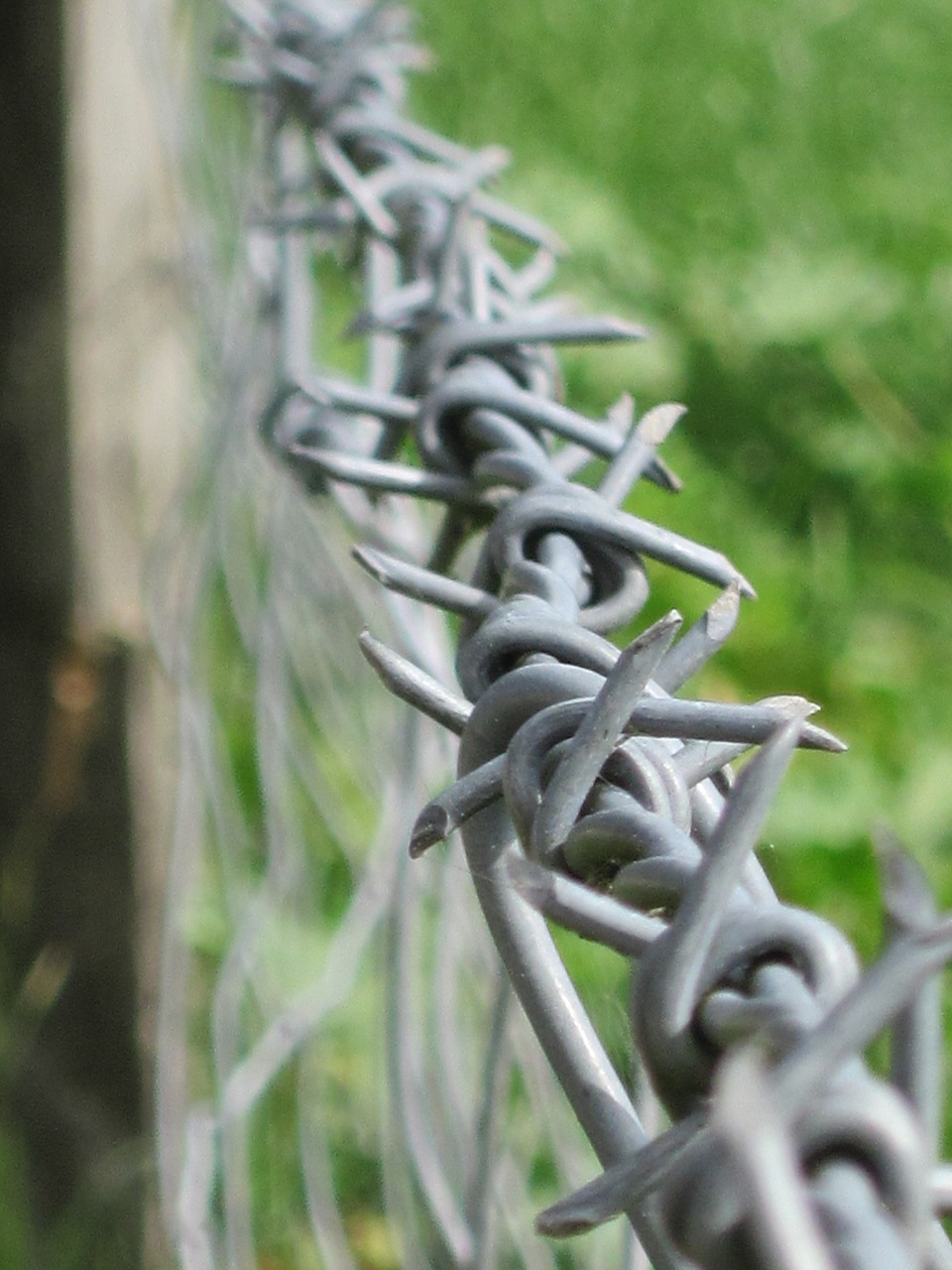 fence wire barbed free photo