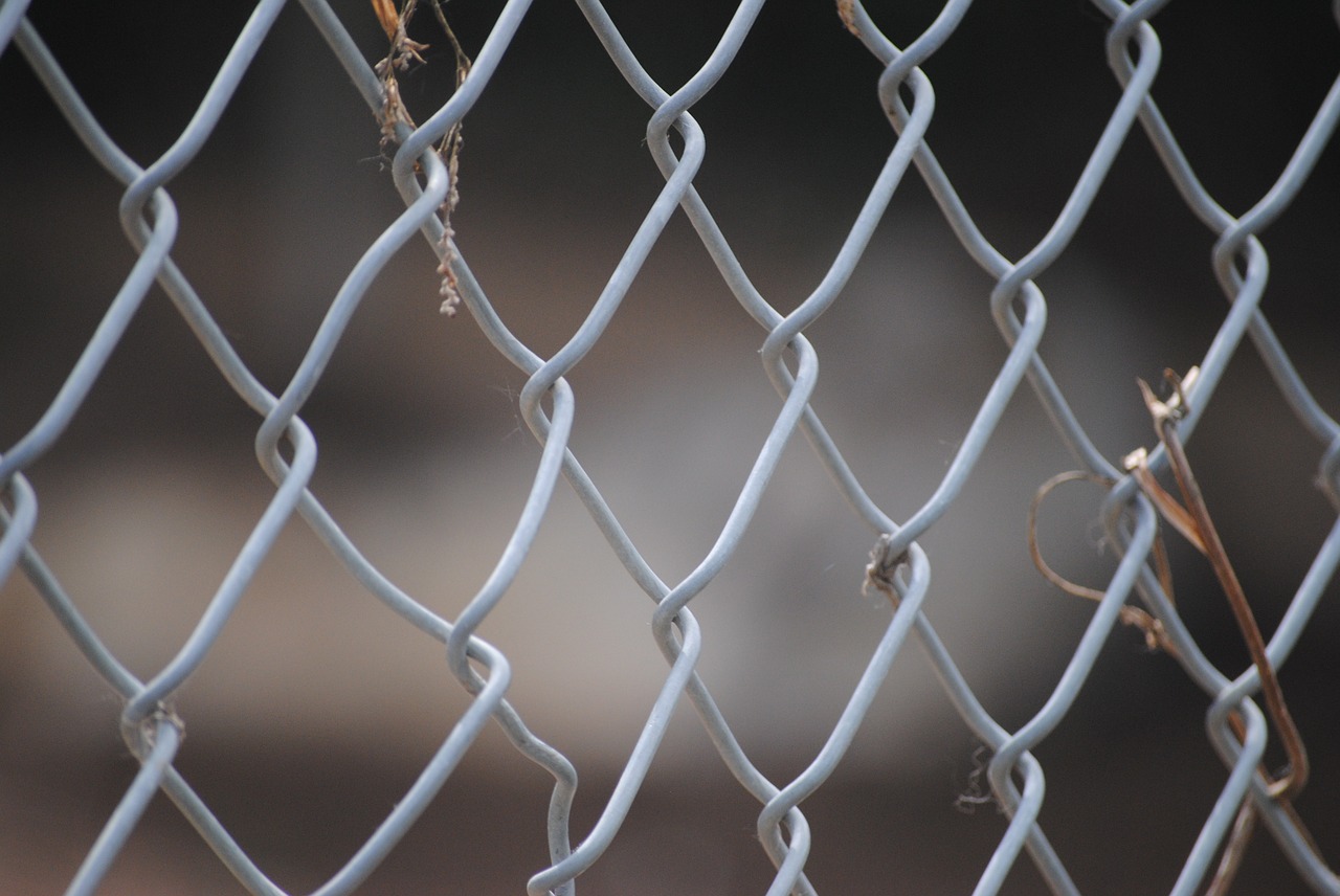 fence iron macro free photo