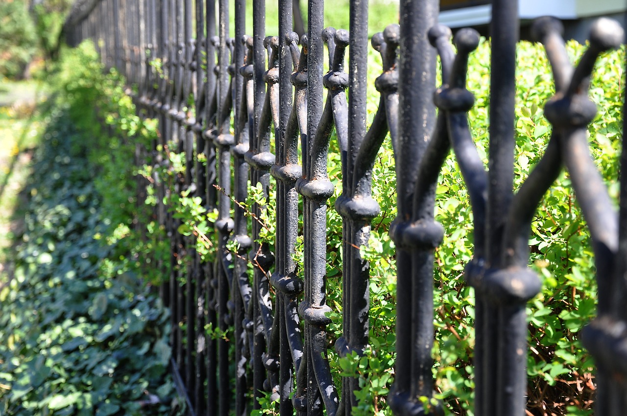 fence macro wrought iron free photo