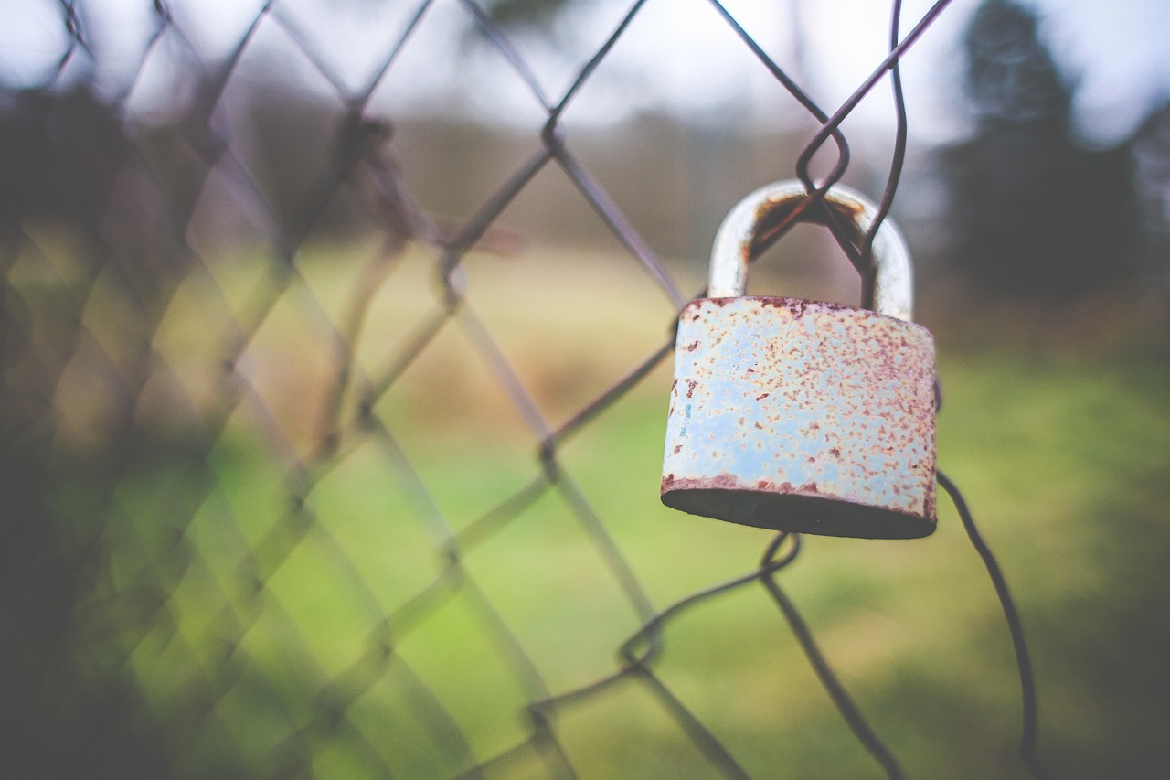 fence lock outdoors free photo