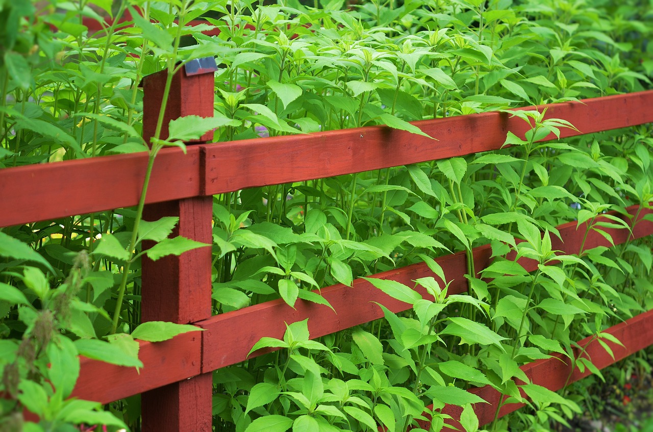 fence garden wood free photo