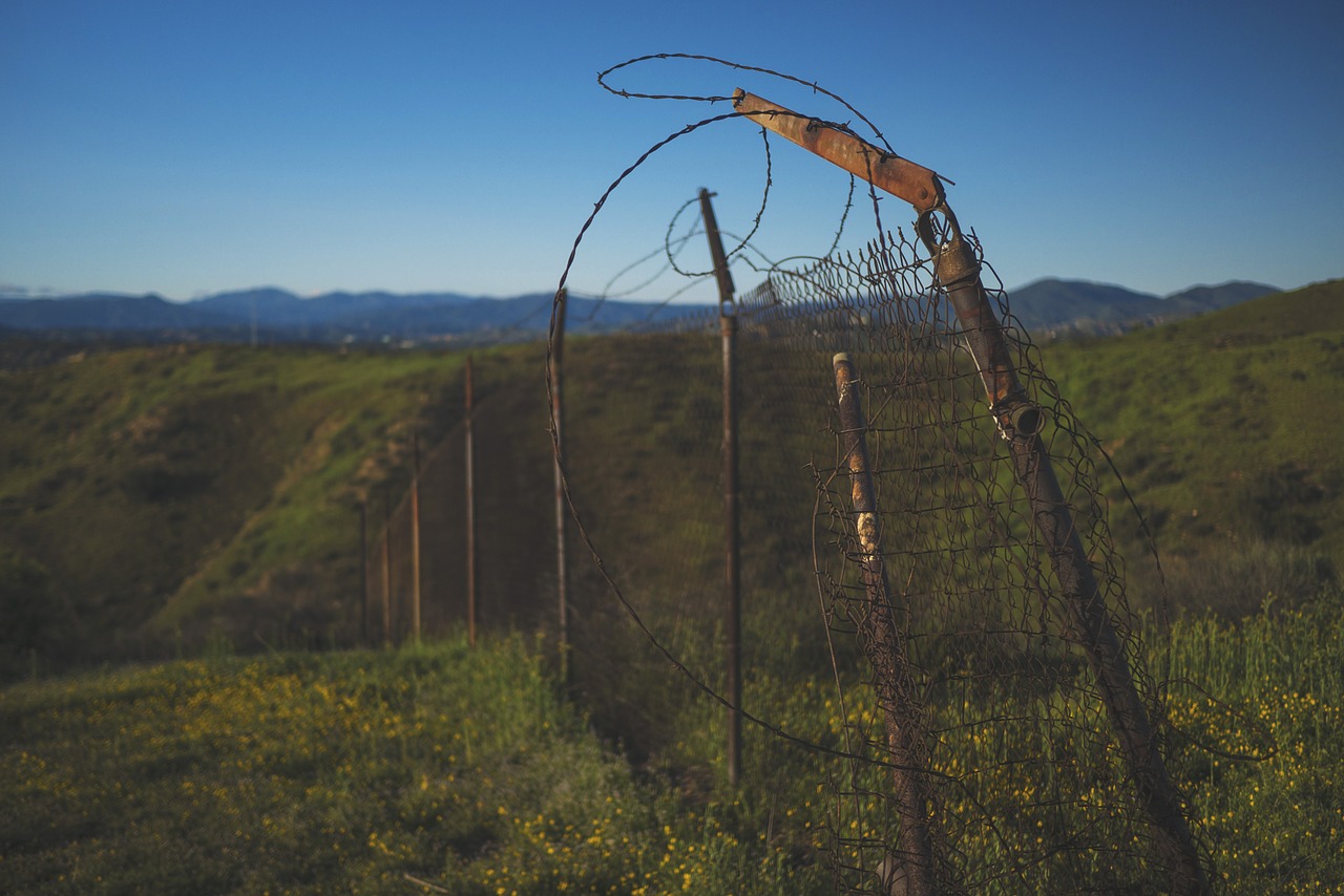 fence grass fields free photo