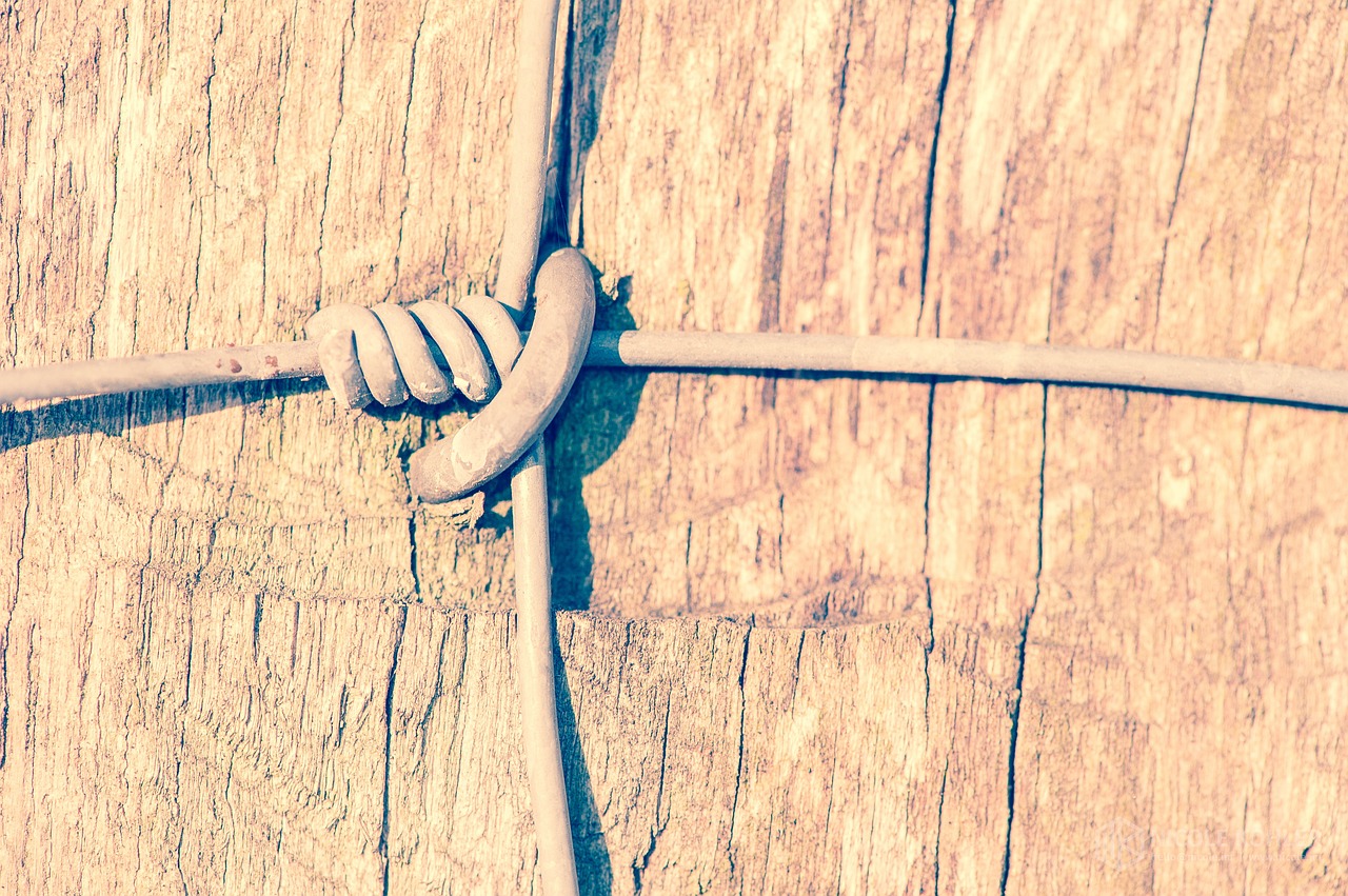 fence wire wood free photo