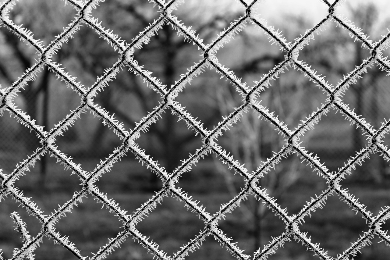 fence ice frost free photo