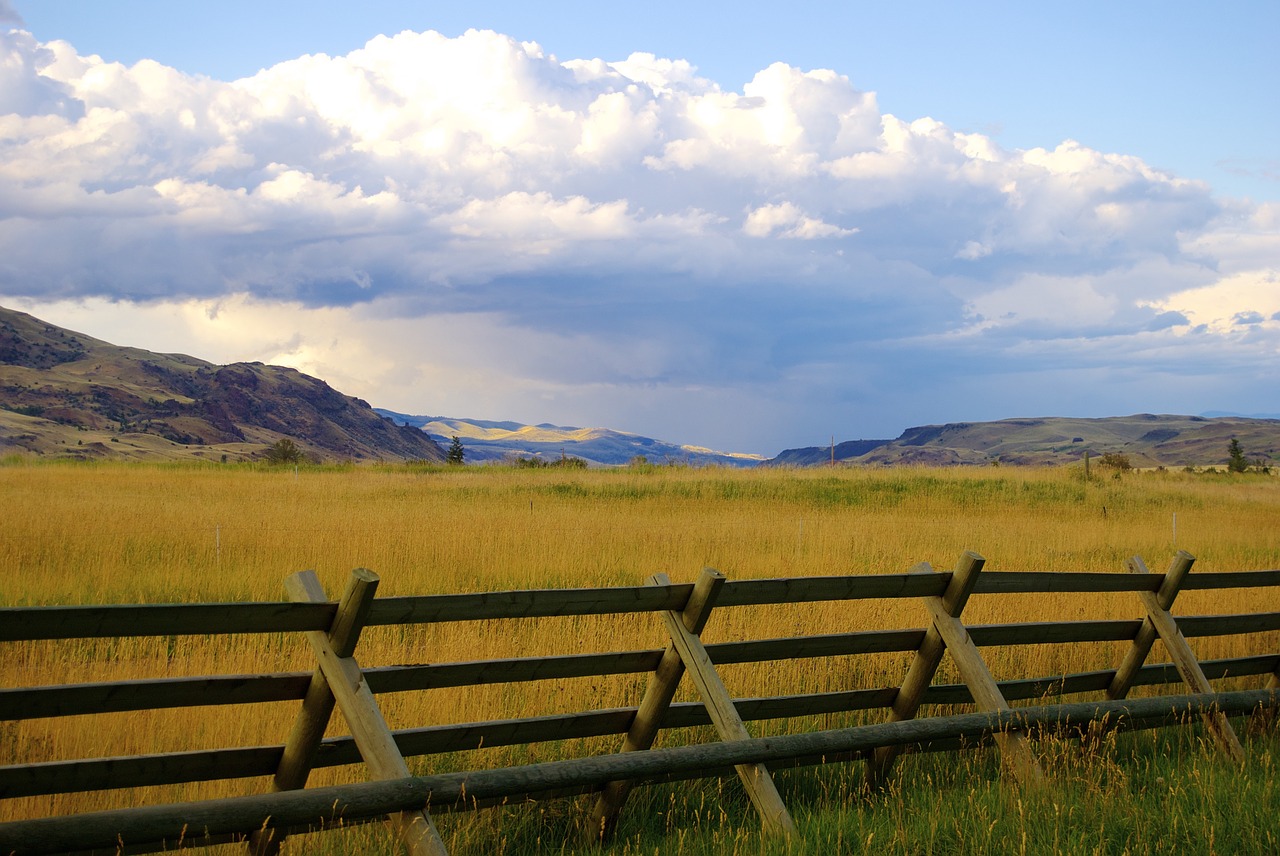 fence meadow paradise valley free photo