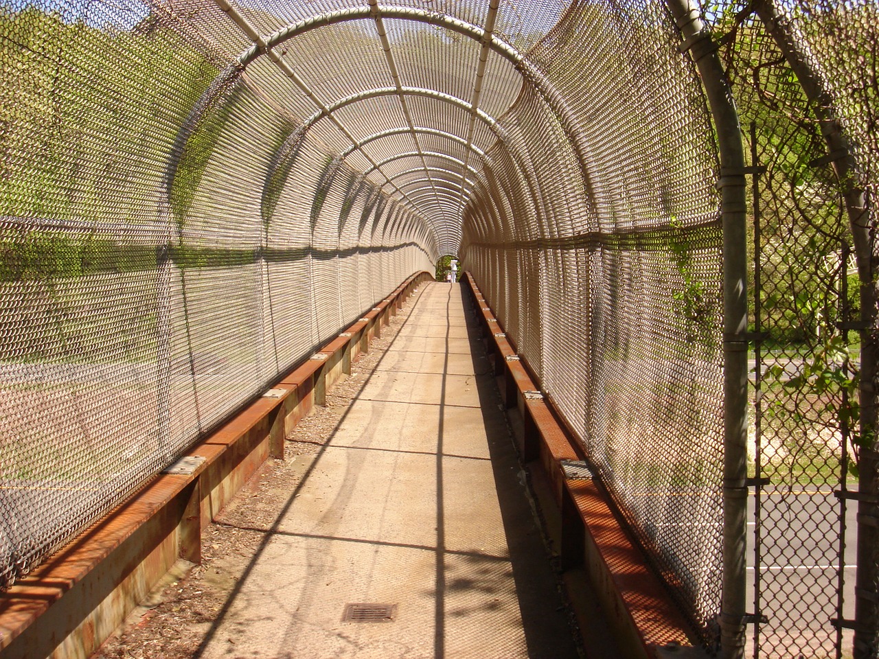 fence bridge walkway free photo