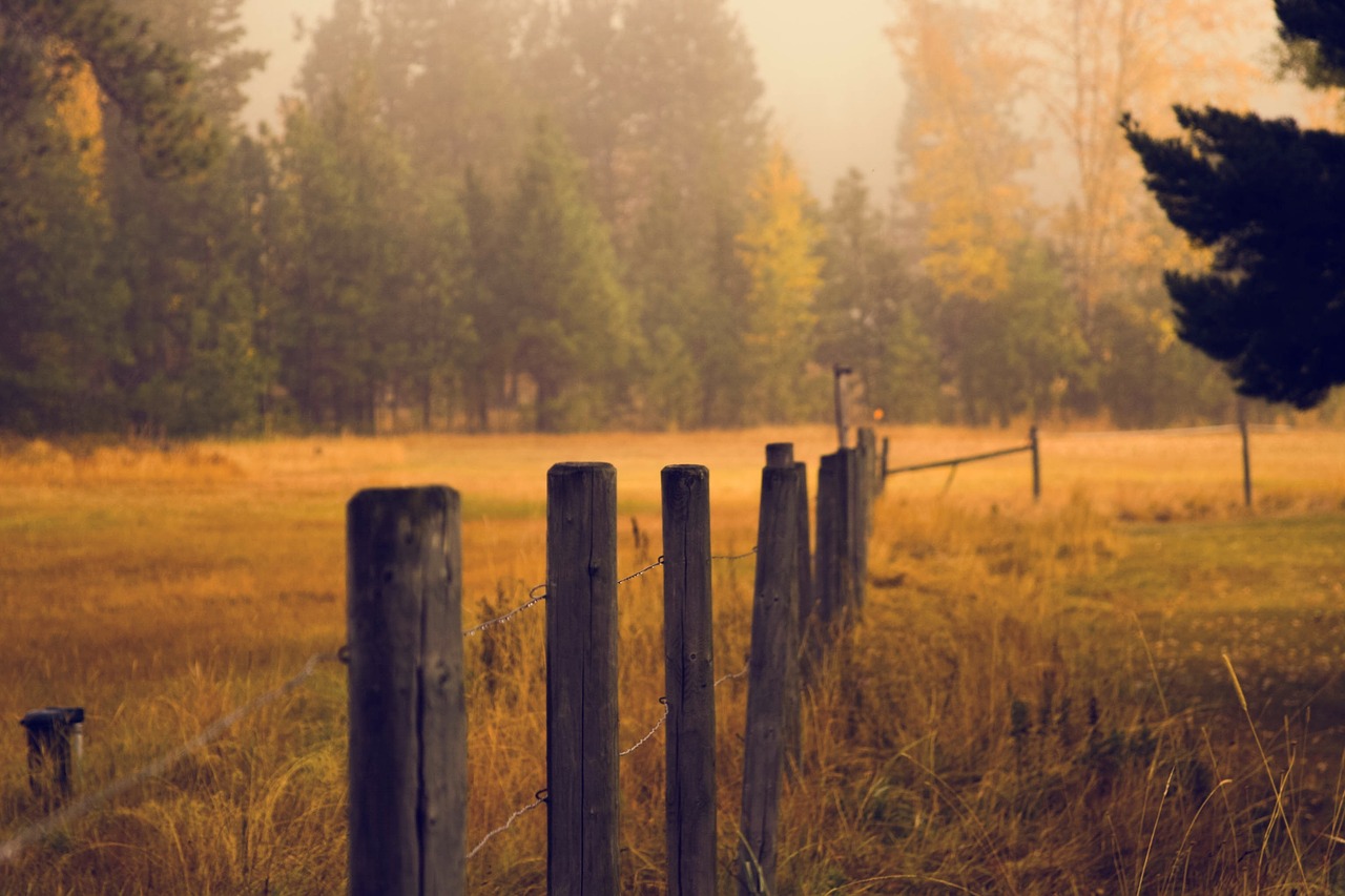 fence pasture grass free photo