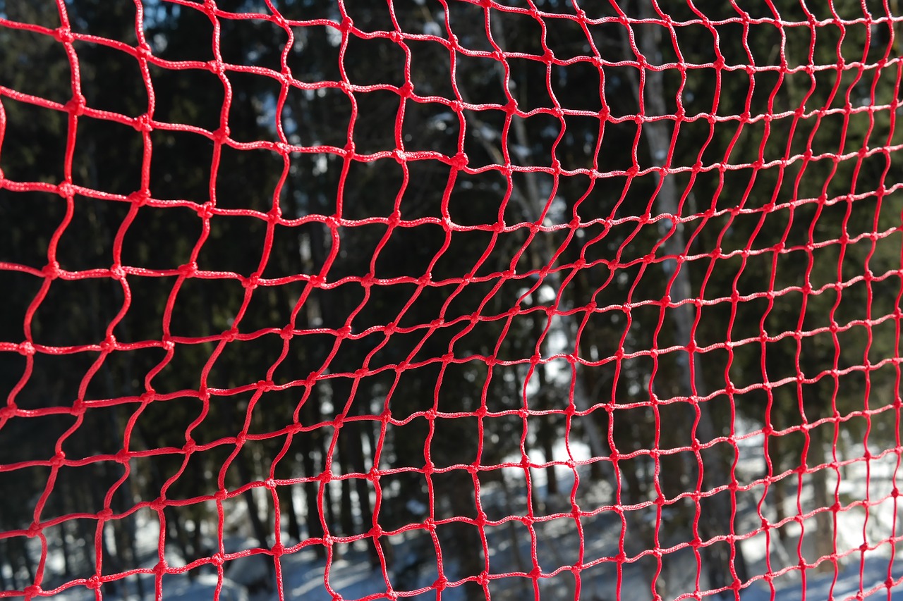 fence grid red free photo