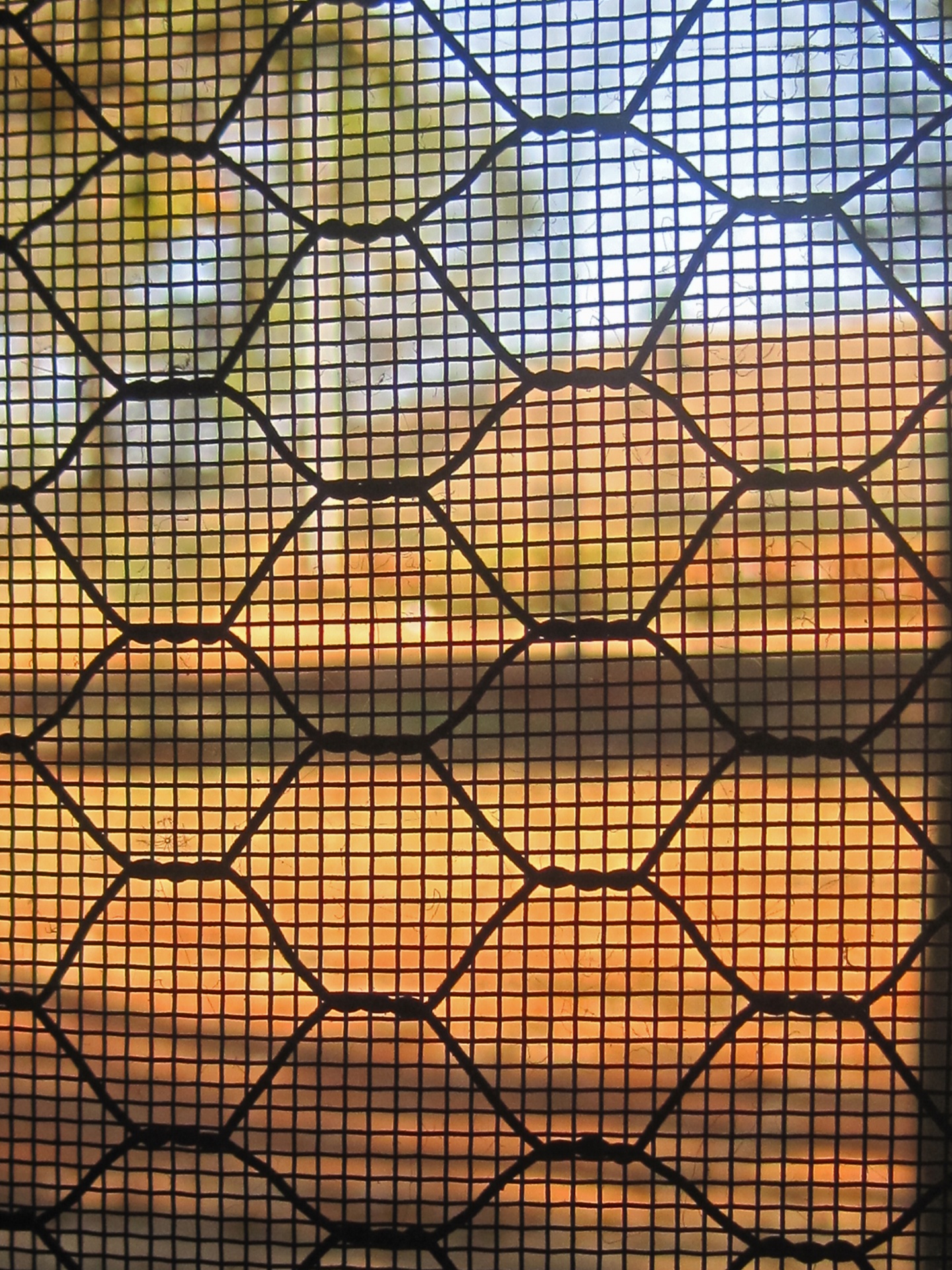 fence wire grid free photo