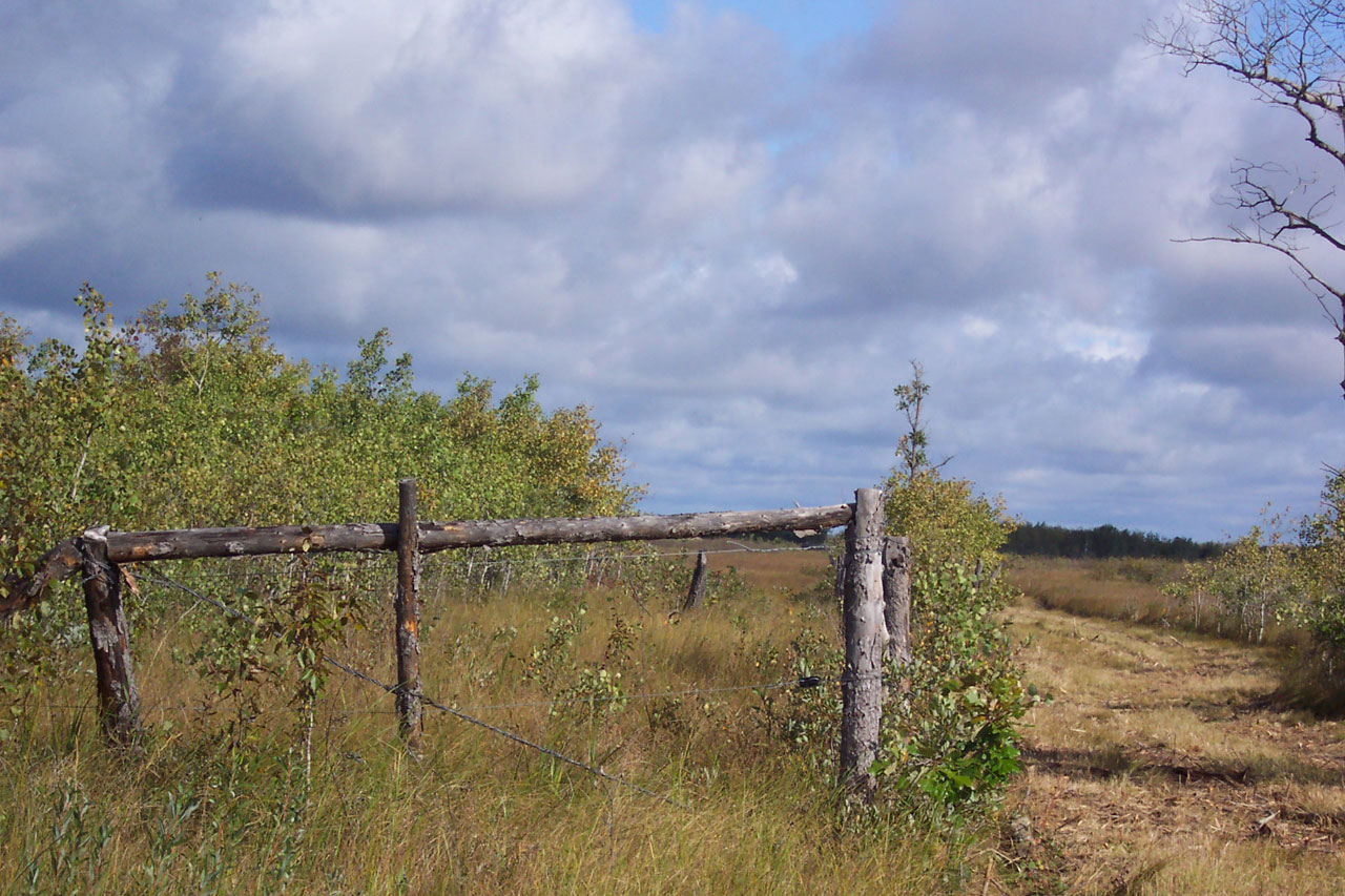 fence landscape country free photo