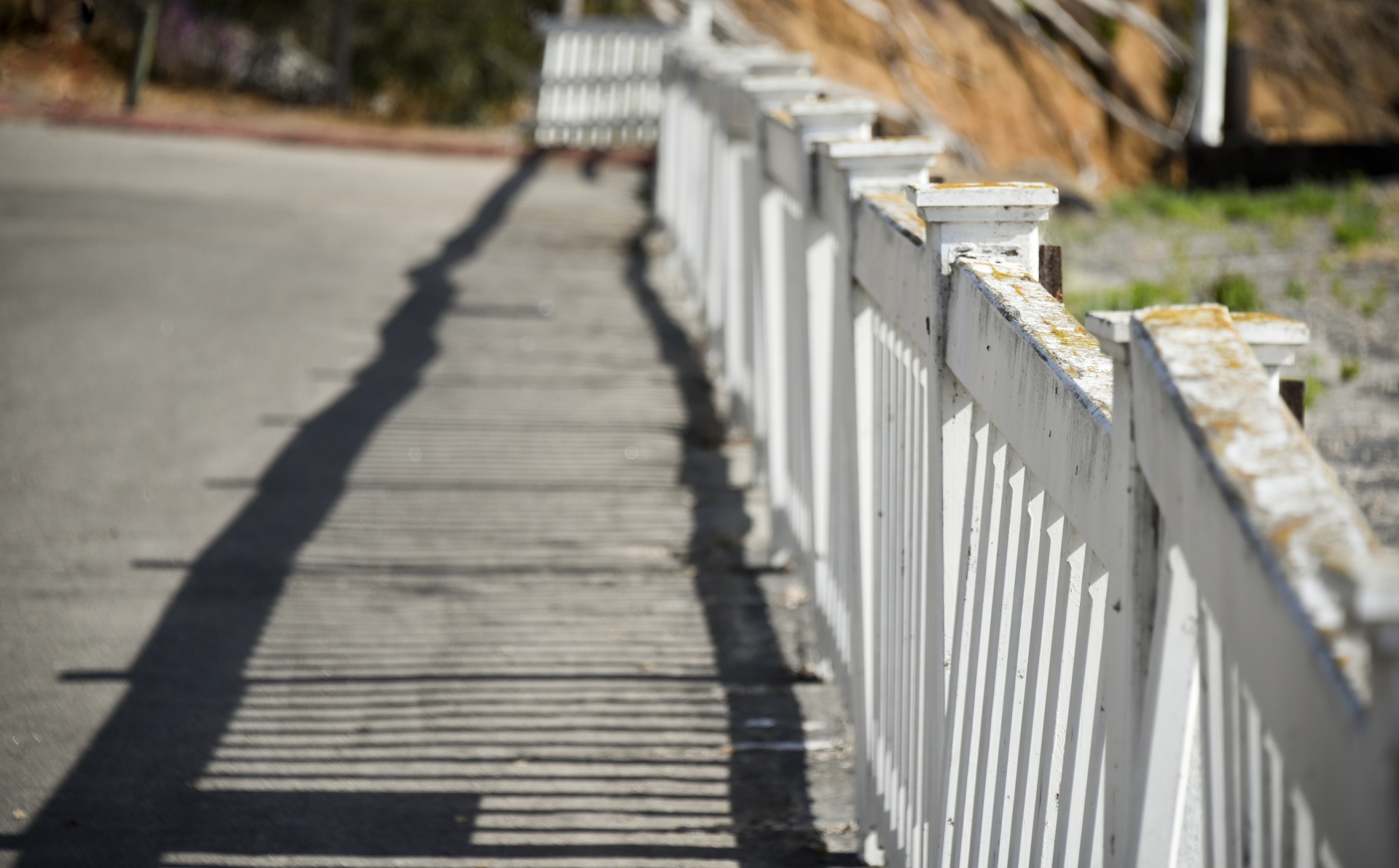 fence path way free photo