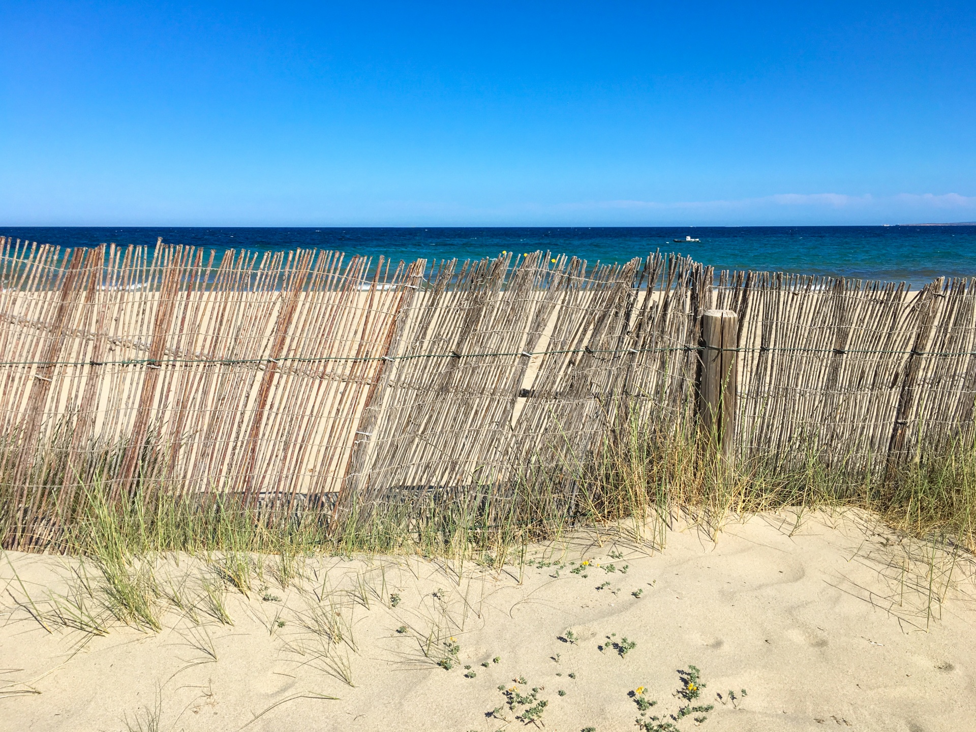 beach blue coast free photo