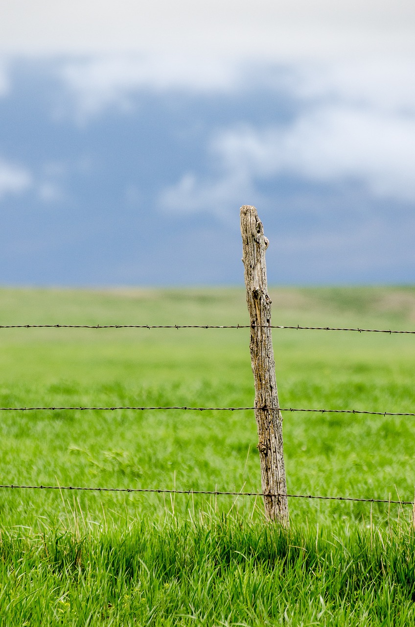 fence post barbed wire pasture free photo