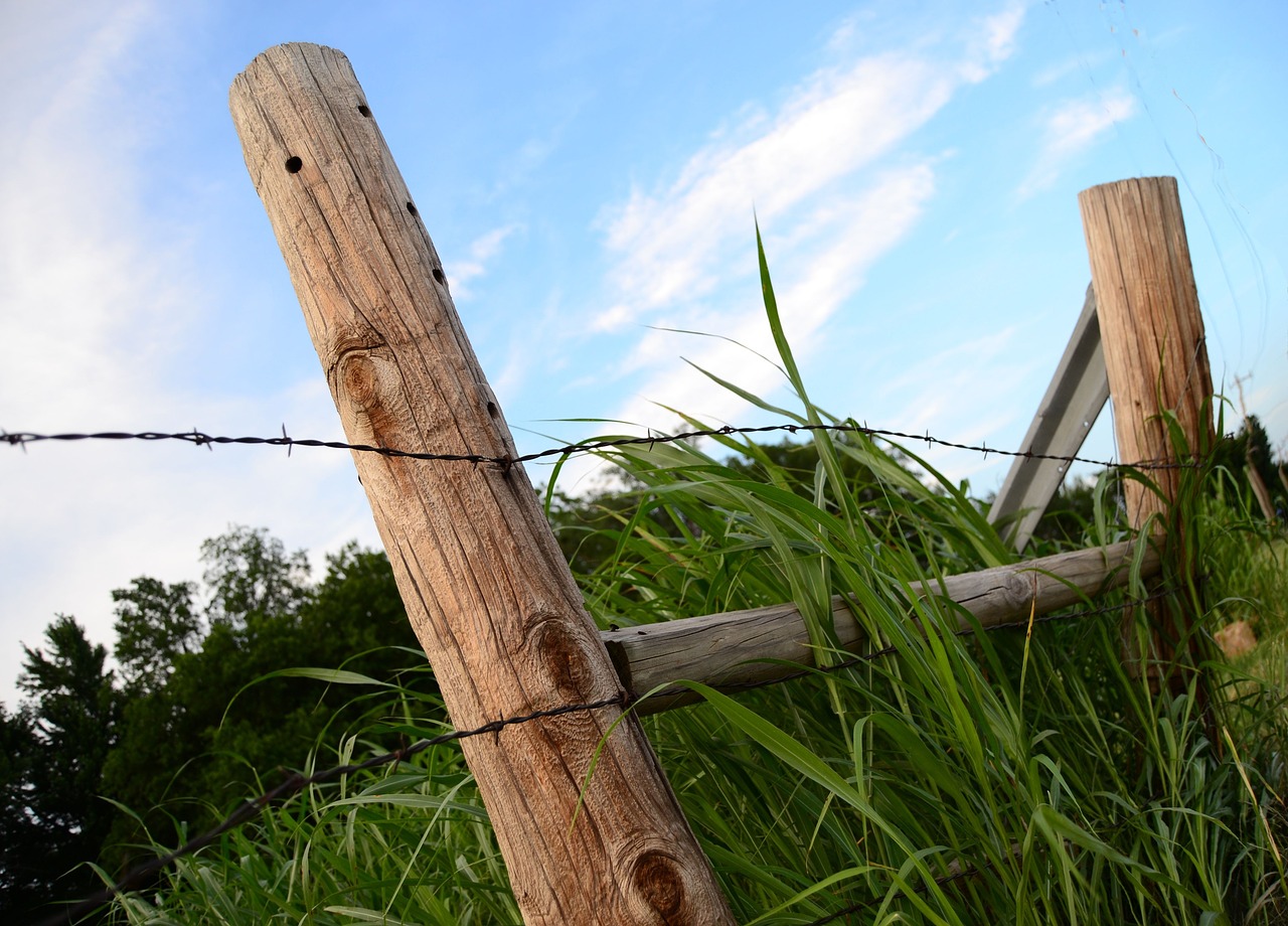 fence post barb wire wire free photo