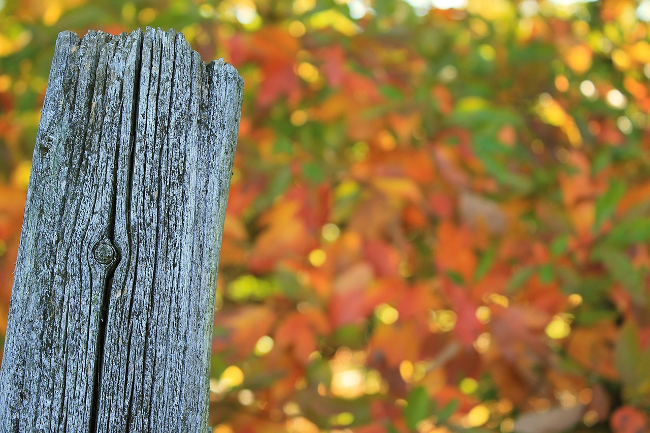 fence post weathered worn free photo