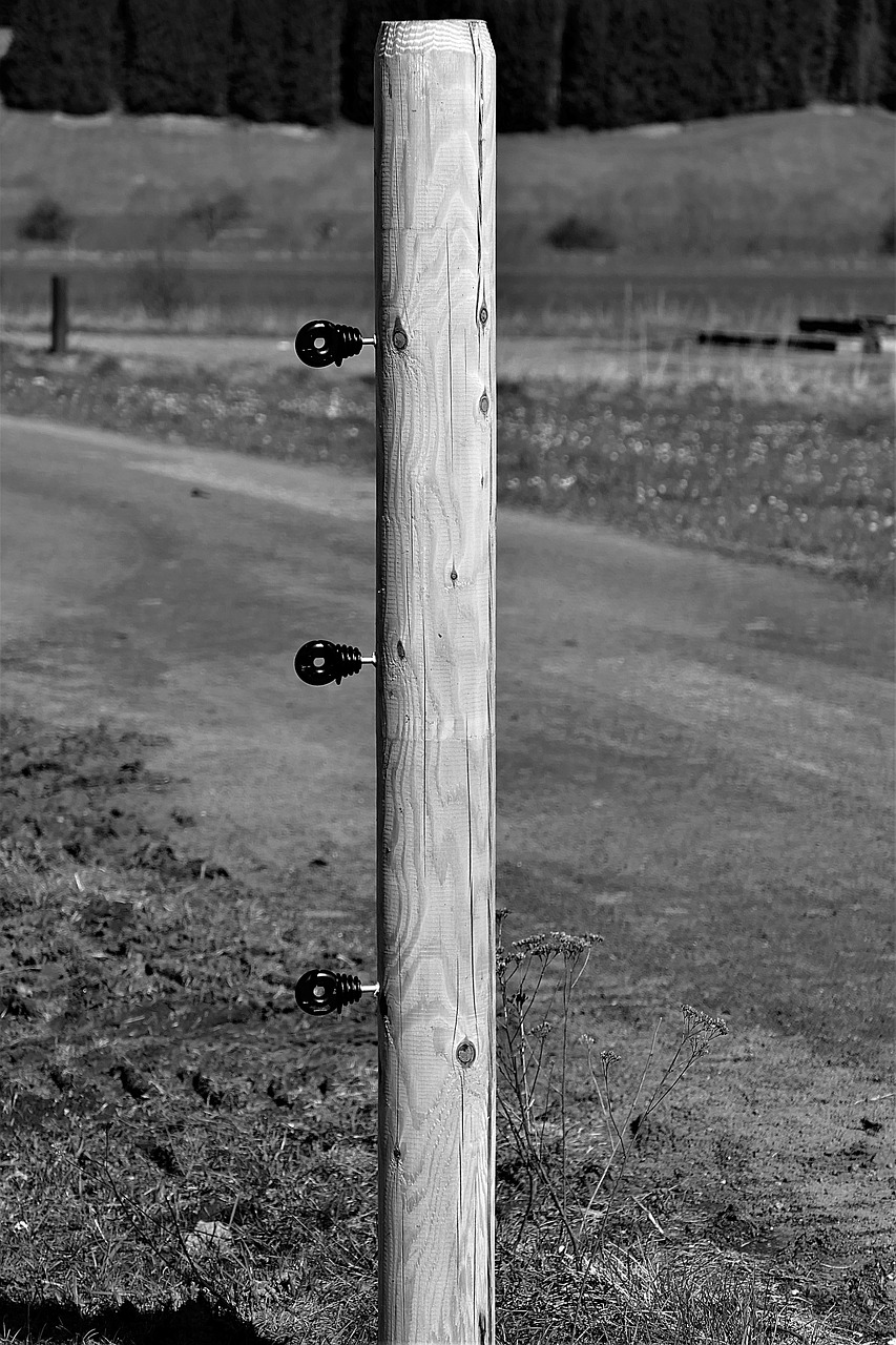 fence post  s w  insulators free photo