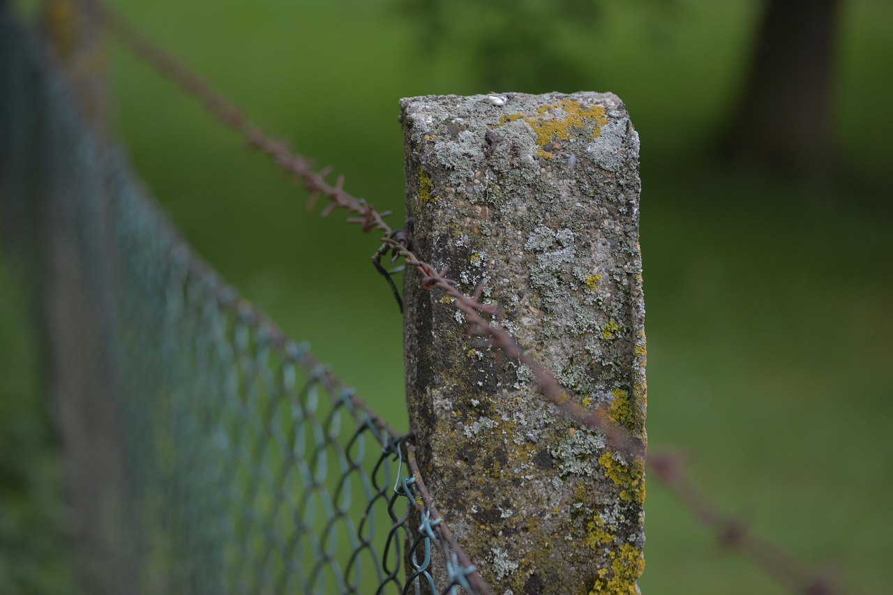 fence post  barbed wire  demarcation free photo