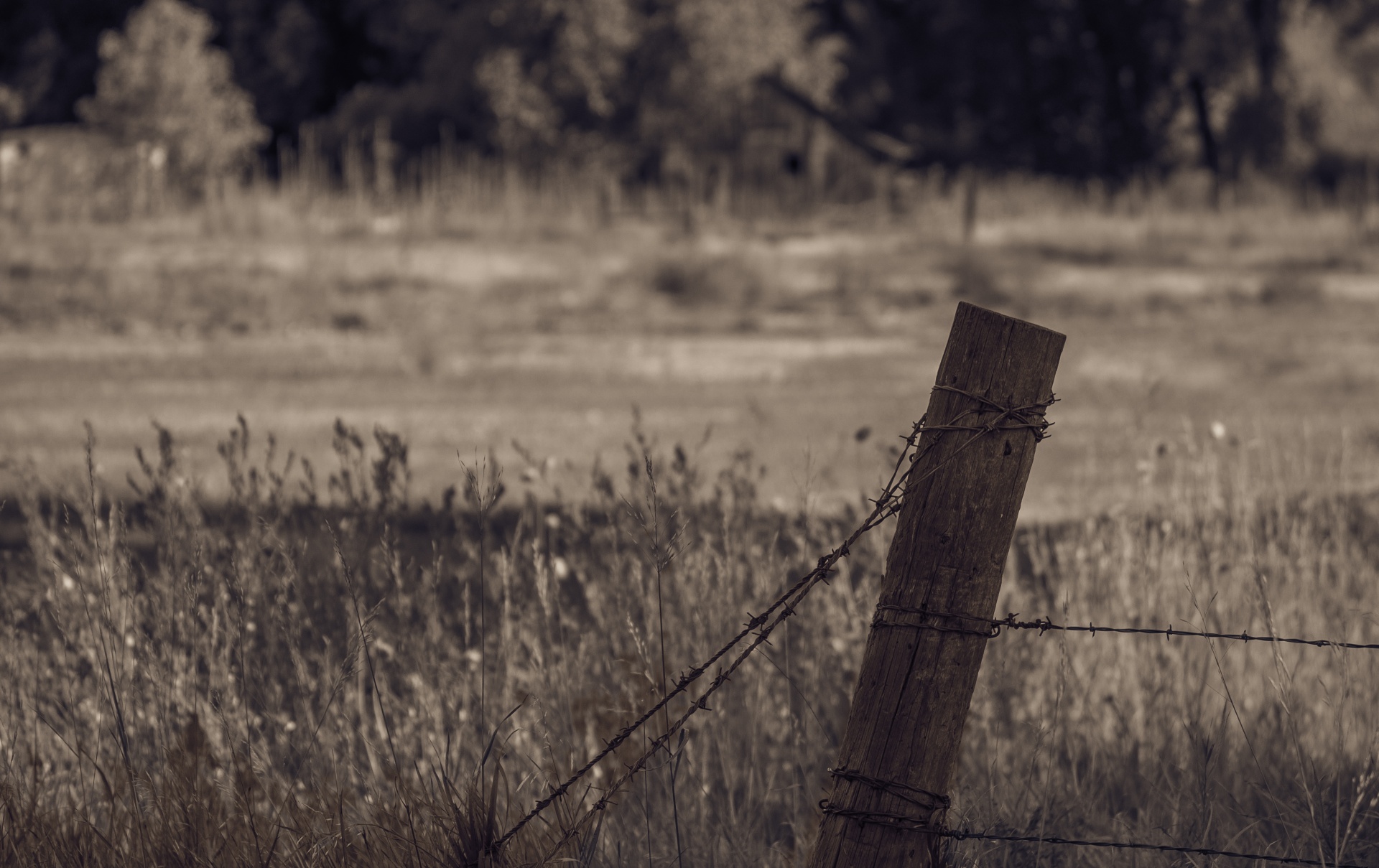 fence post barbed wire free photo