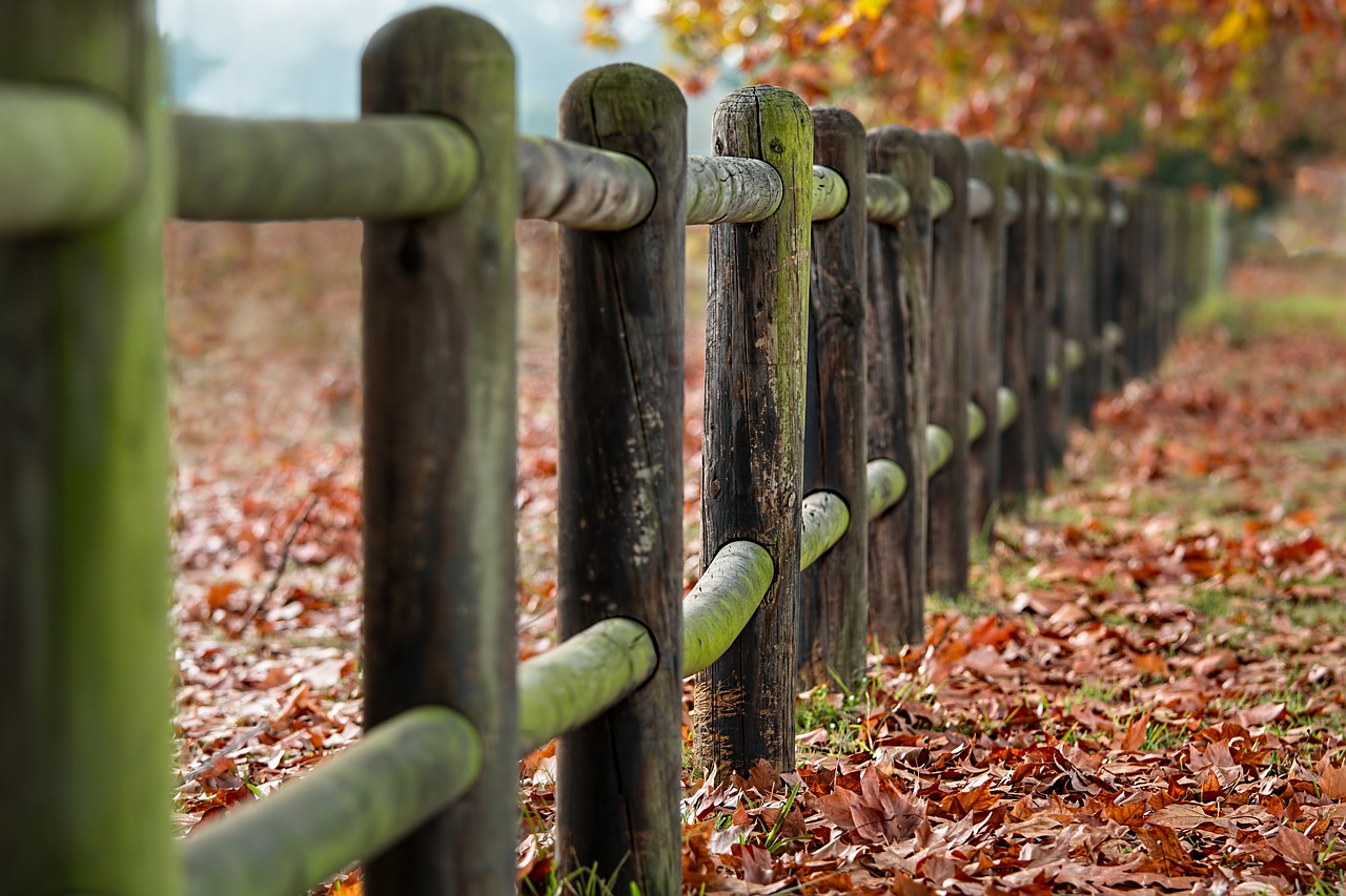 fence posts autumn leaves free photo