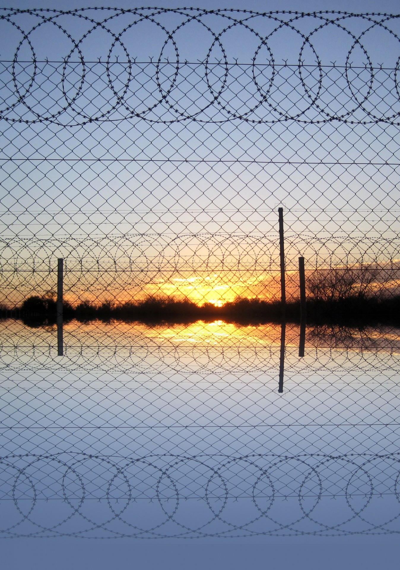 sunset fence barbed wire free photo