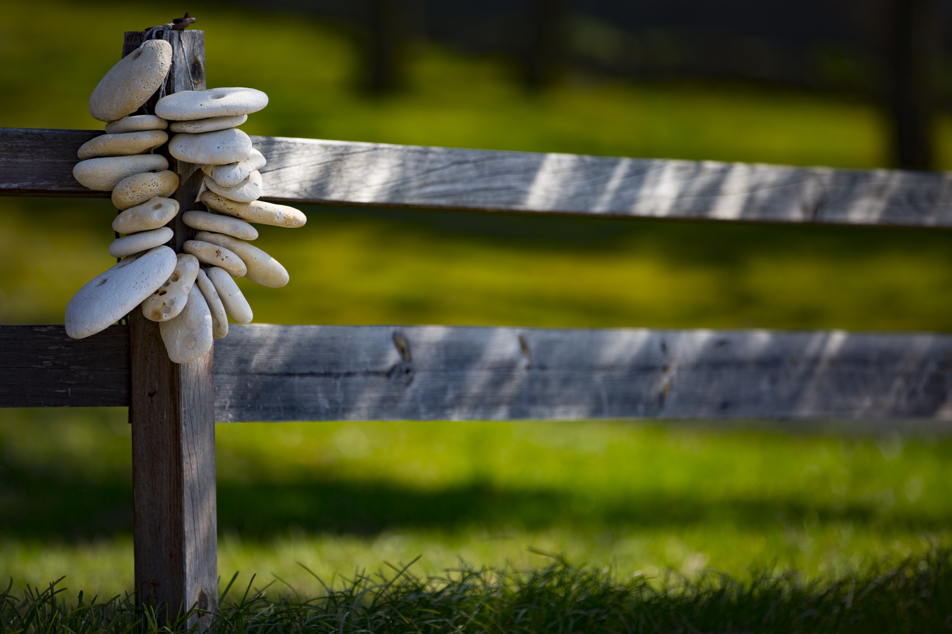 decorations fence garden free photo