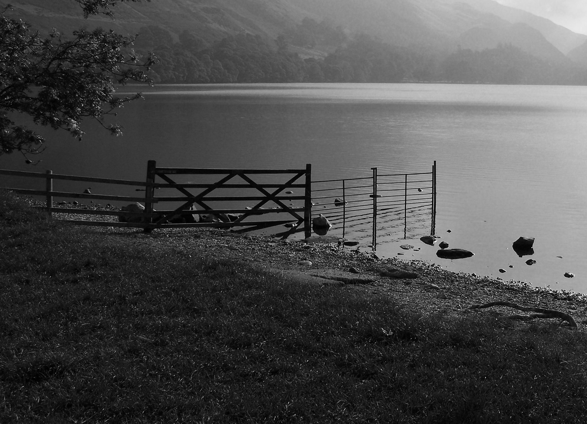 fence lake england free photo