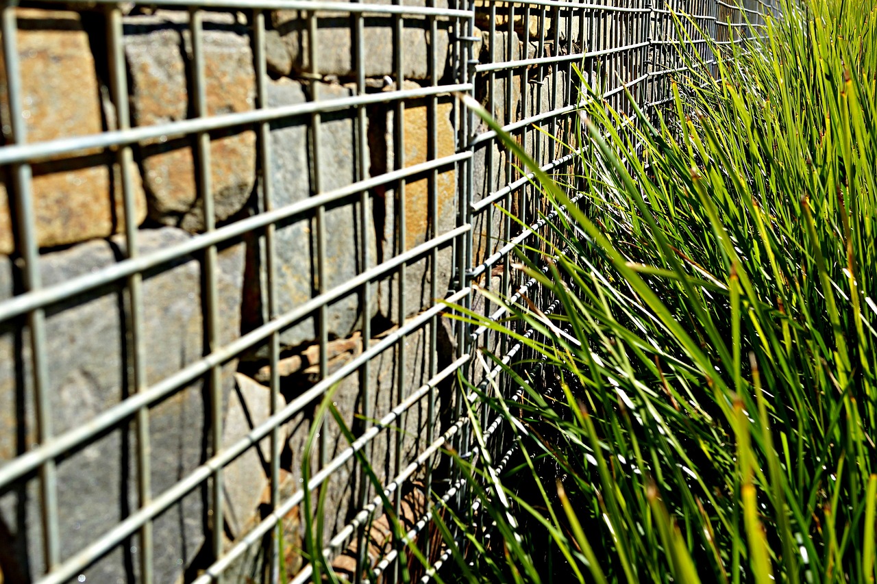 fenced wall weeds protest free photo