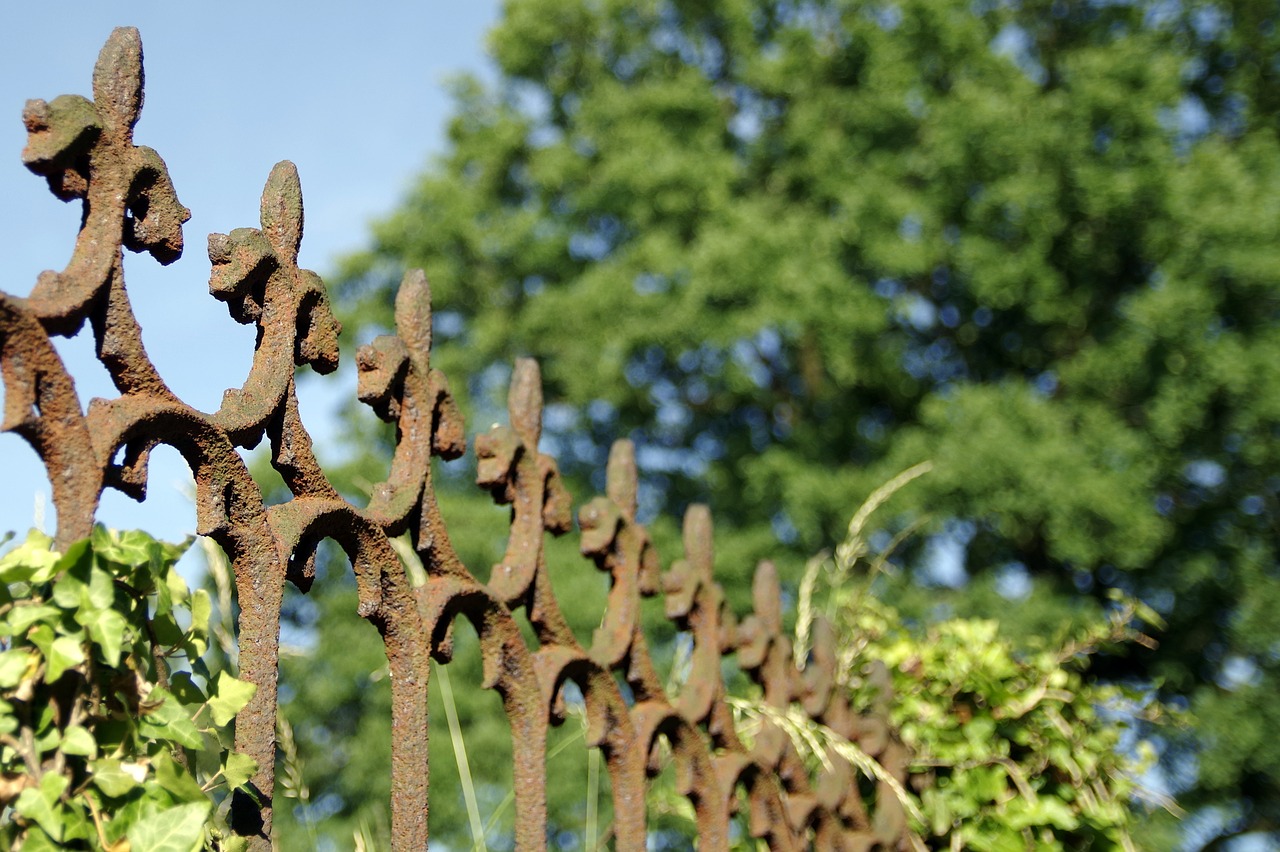 fencing accessory the fence free photo