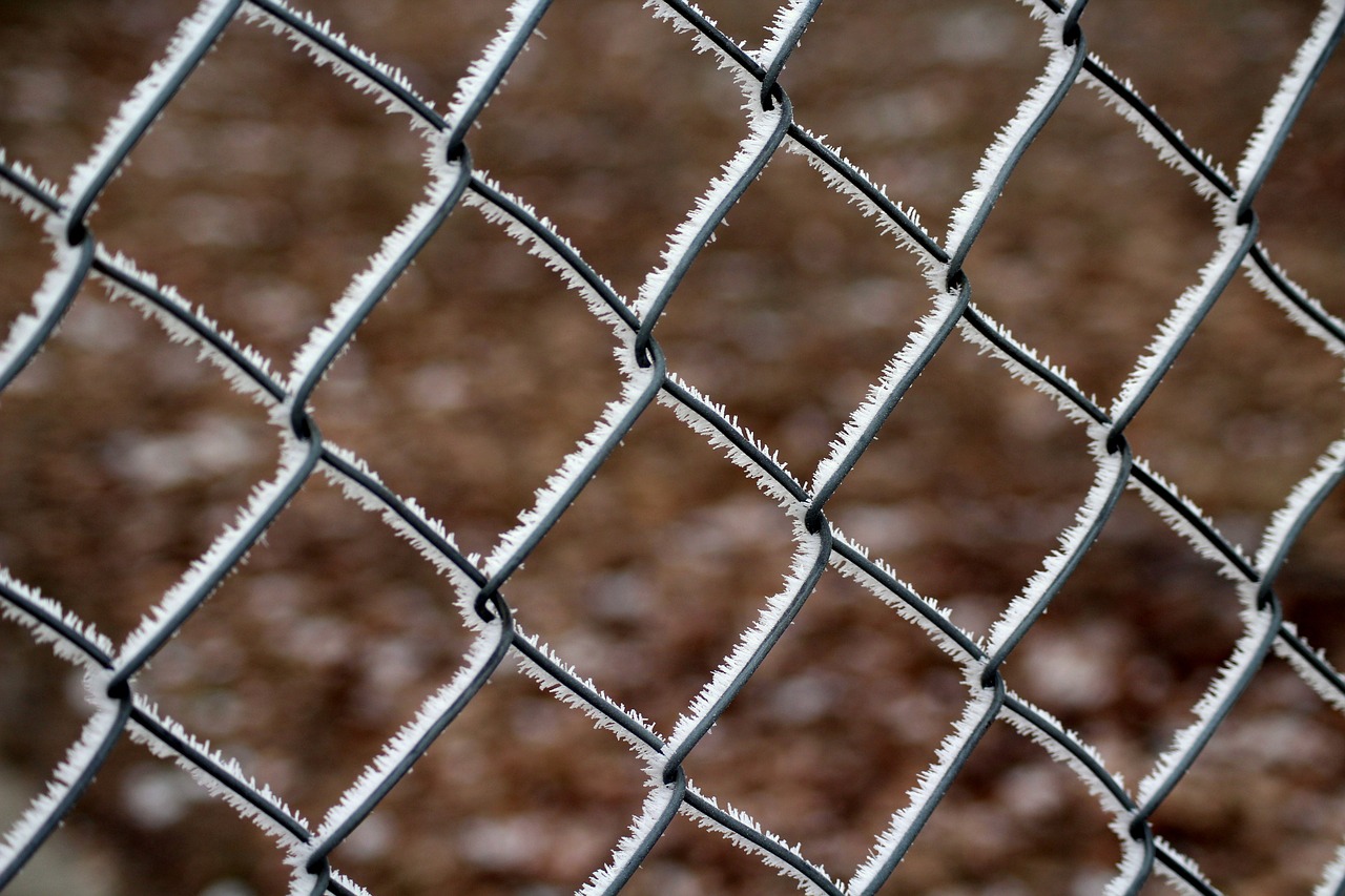 fencing  winter  frost free photo