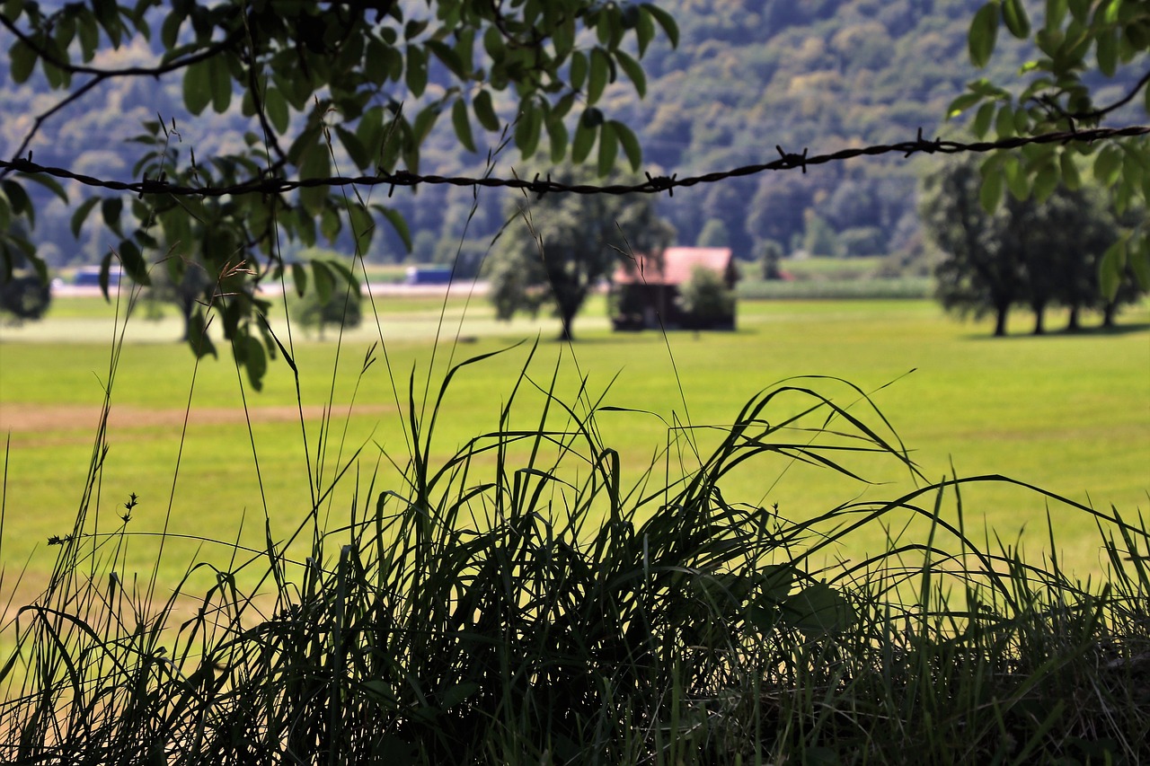 fencing of pastures  meadow  alpine free photo