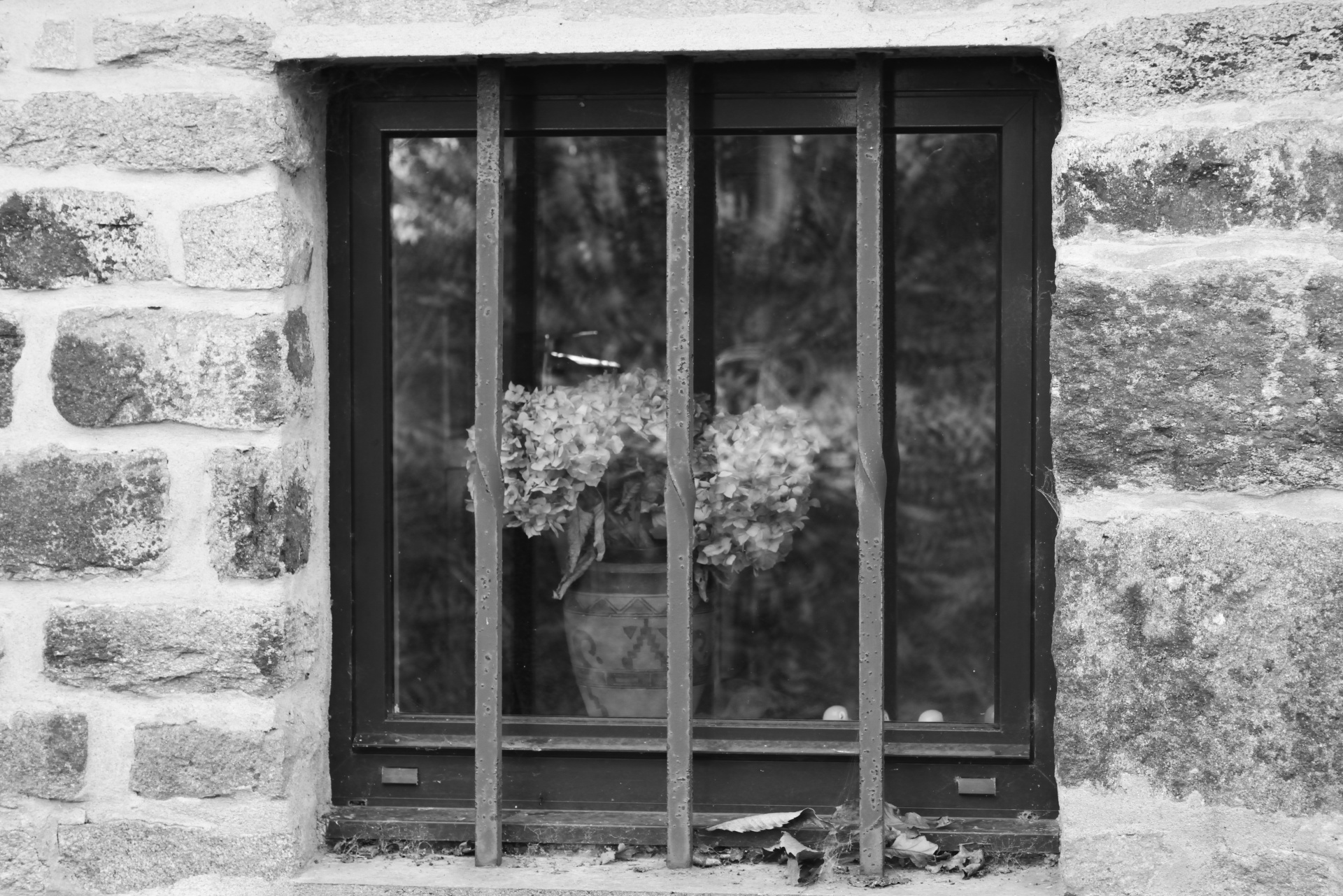 window bars metal free photo