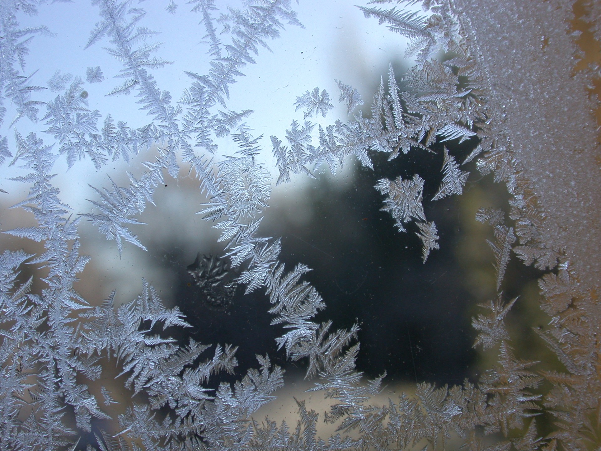 frost ice window free photo