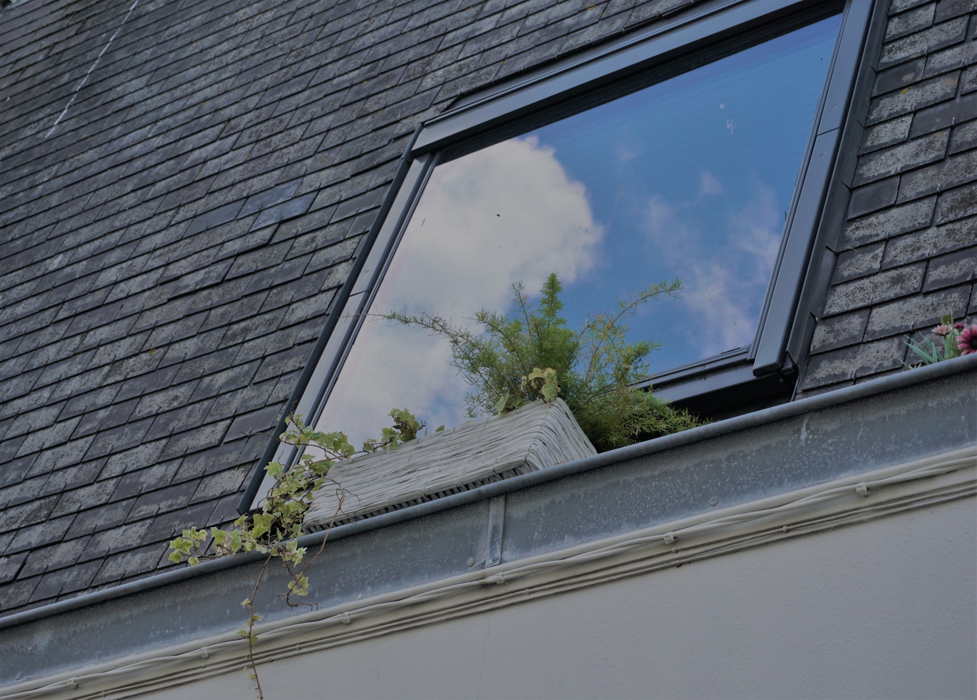 roof slate window free photo