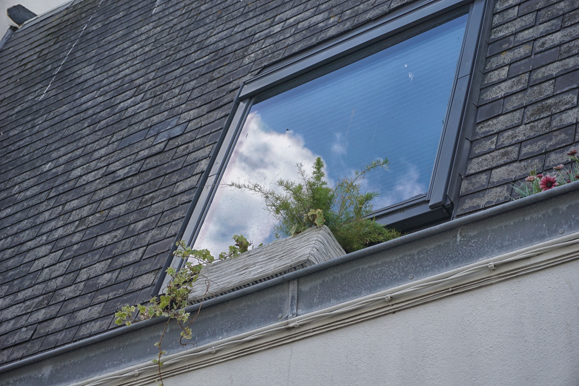roof window slate free photo