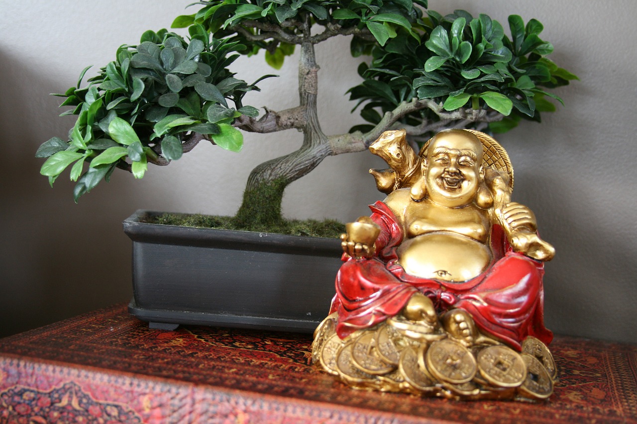 fengshui luck chinese free photo