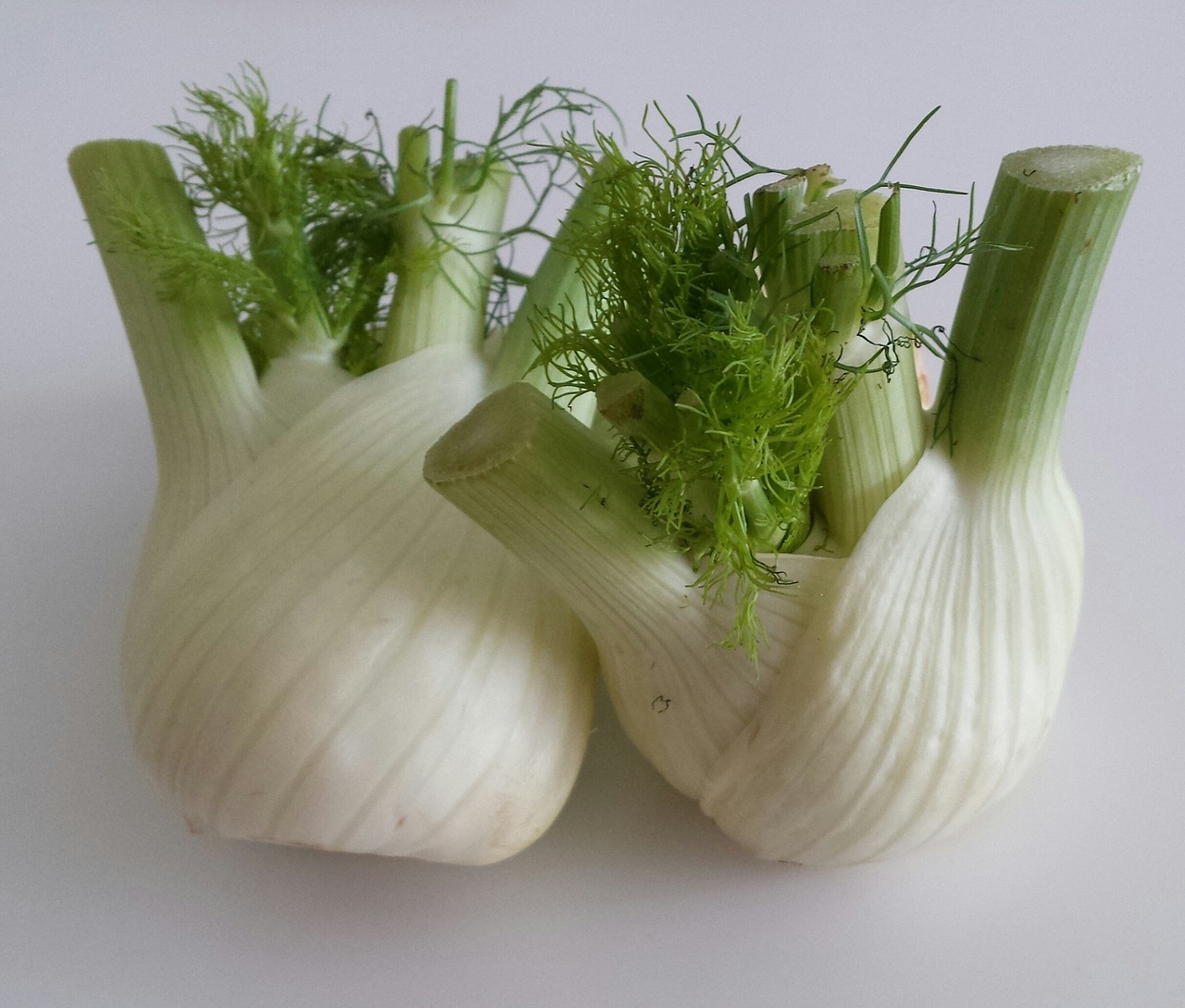 fennel vegetables healthy free photo