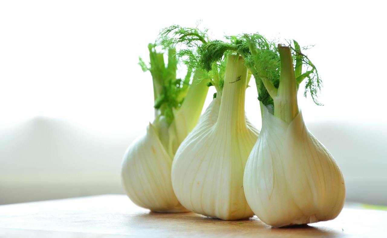 fennel vegetables fennel bulb free photo