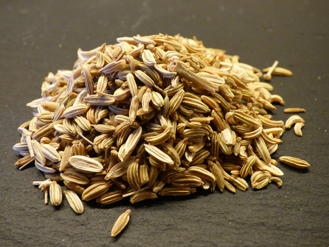 fennel seeds herb free photo