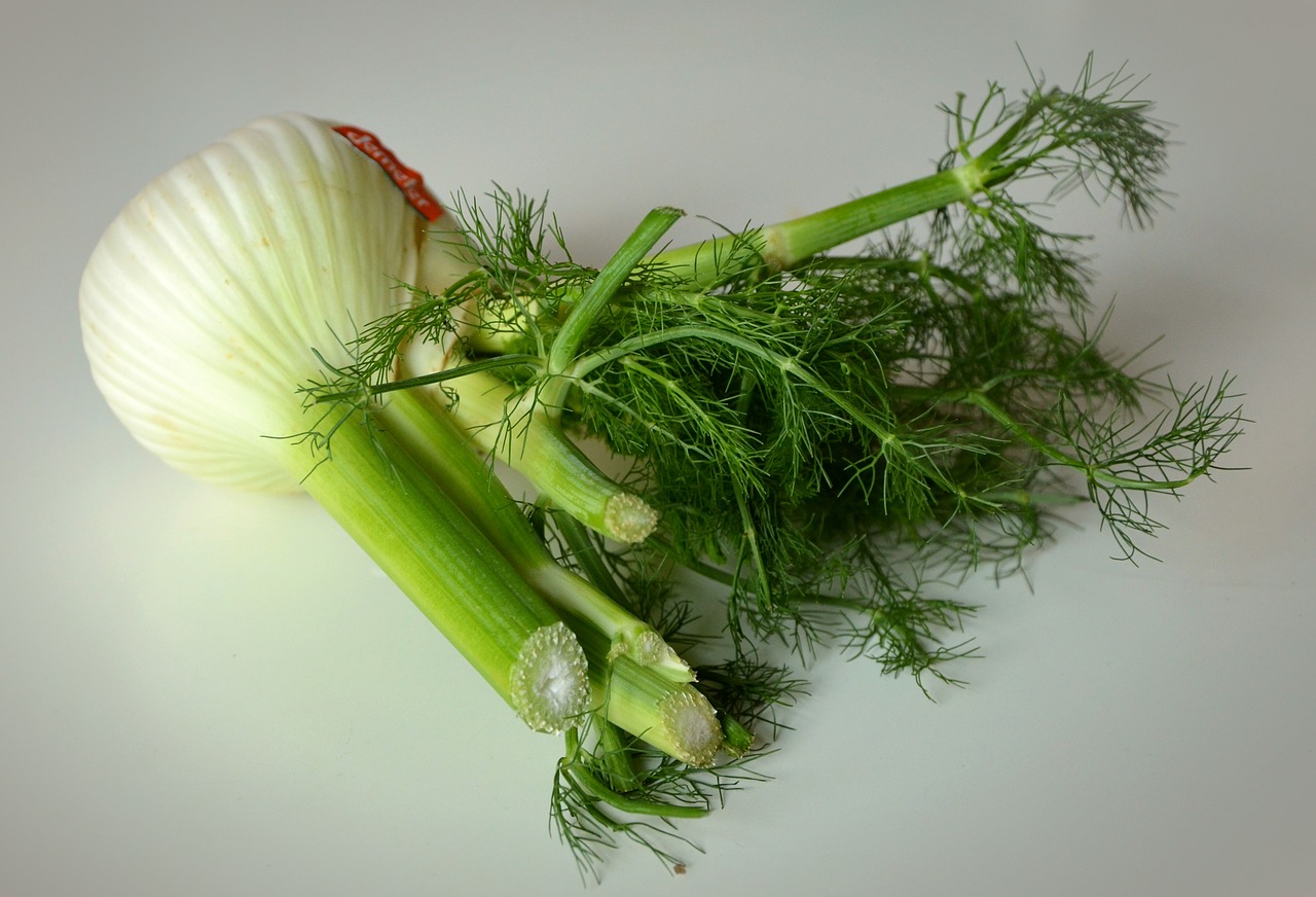 fennel vegetables healthy free photo
