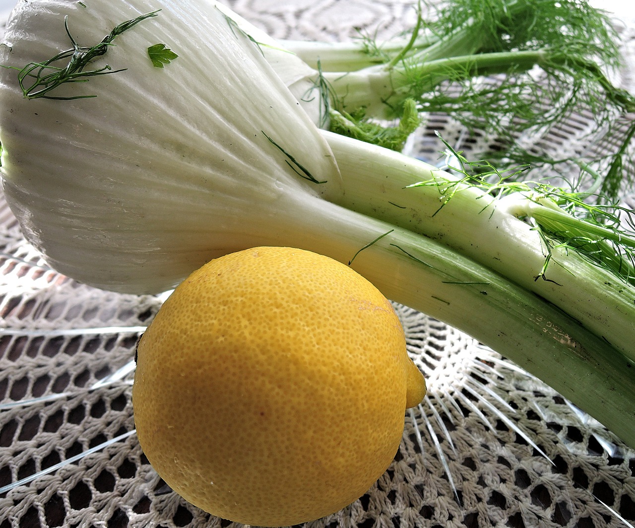 fennel lemon fresh free photo