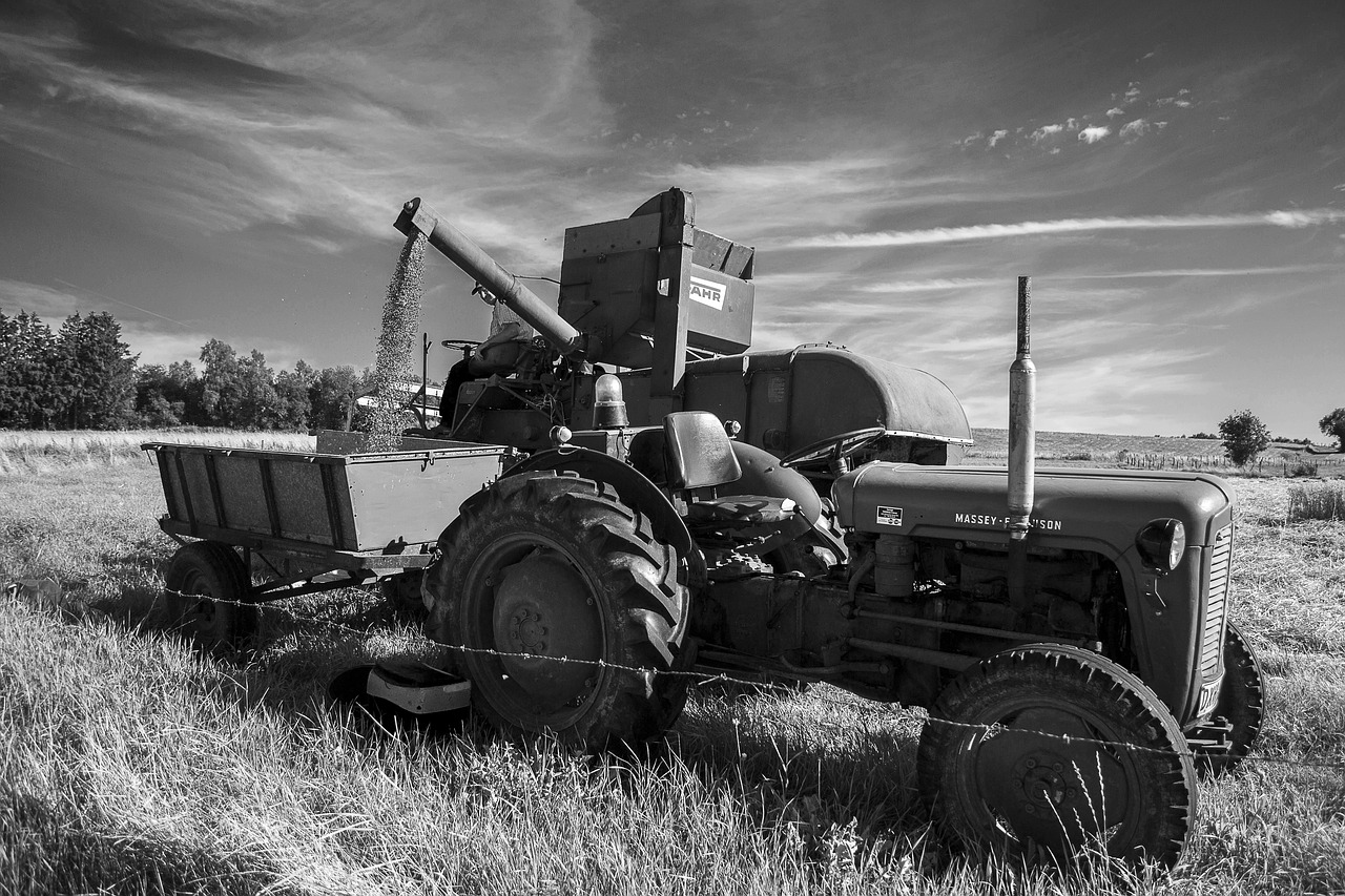 fergusson  tractor  grain free photo