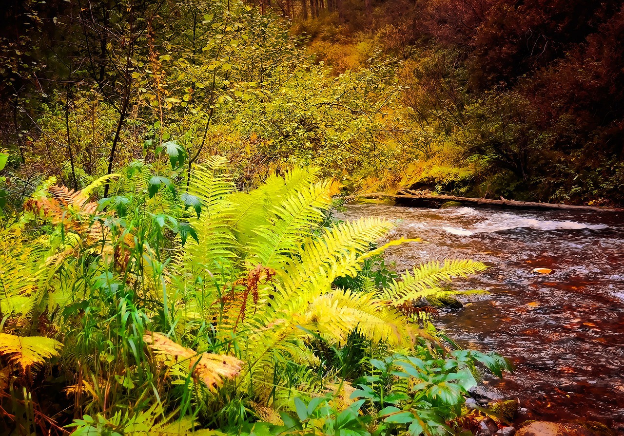 fern plant autumn free photo